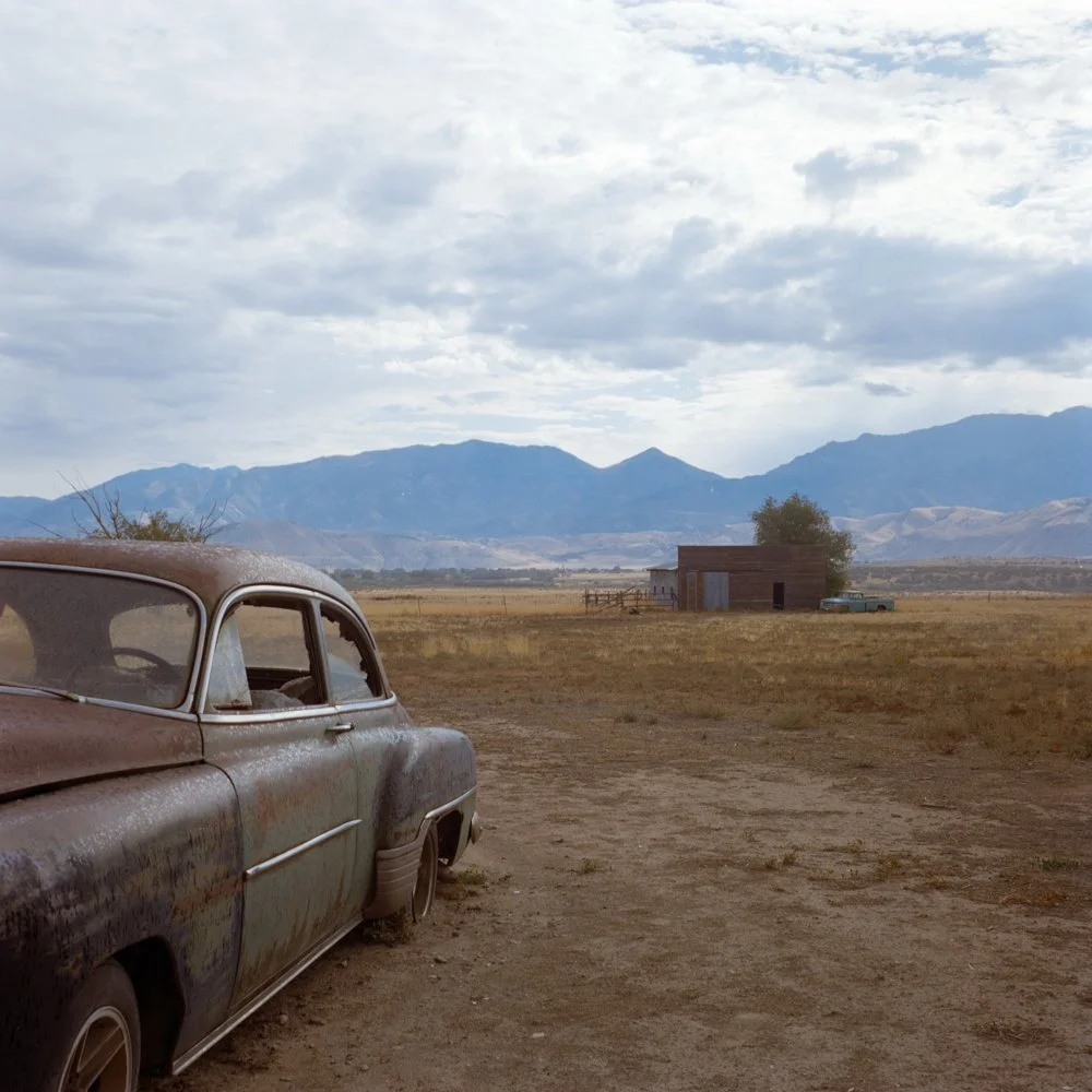 Yashica Mat 124g Kodak Portra 400 September 2025-3.jpg