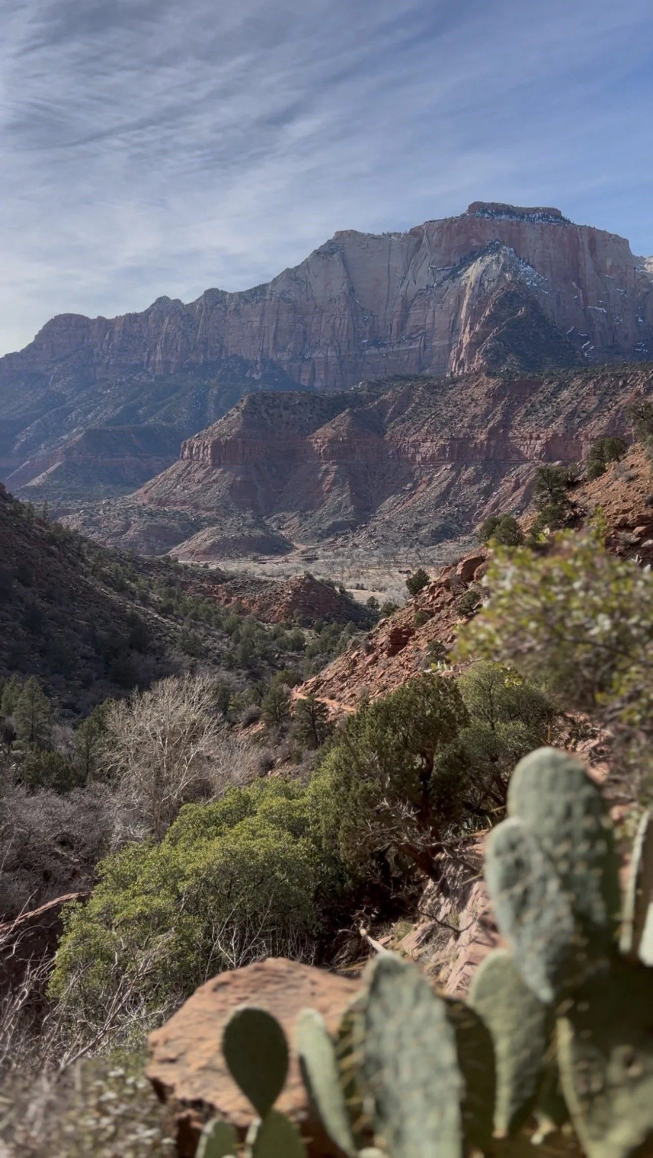 The Zion Summer Hack Nobody Talks About: How to Experience Zion After Hours (Without the Shuttle + Crowds)