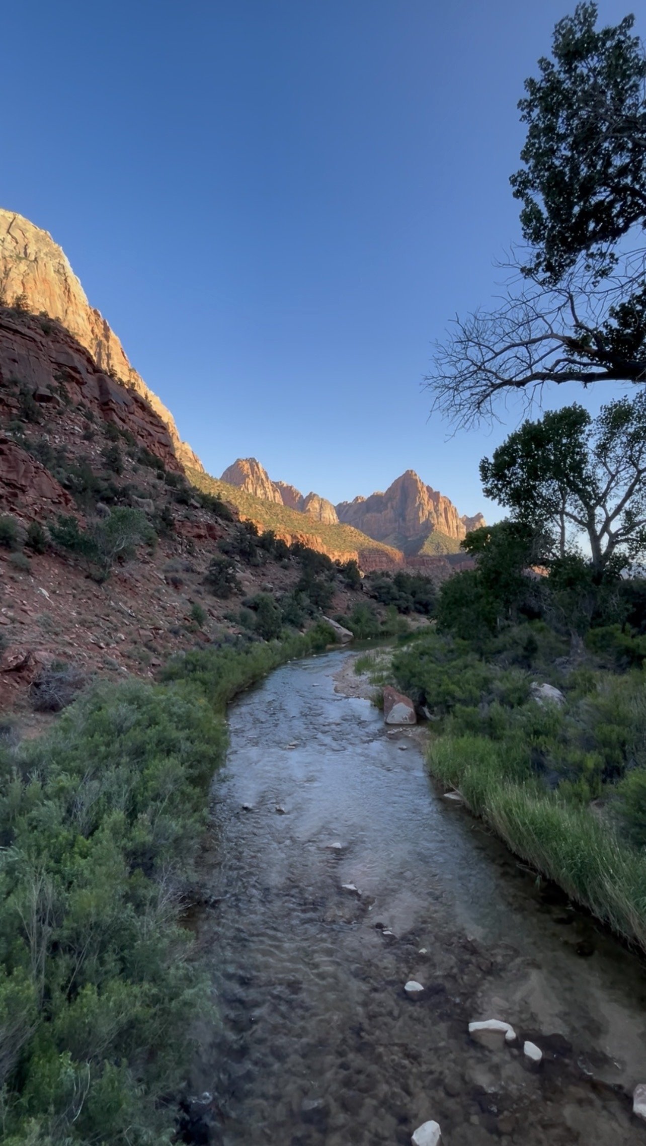Skip the Shuttle - The Pa'rus Trail in Zion National Park: The Underrated Gem You're Probably Skipping 🌿