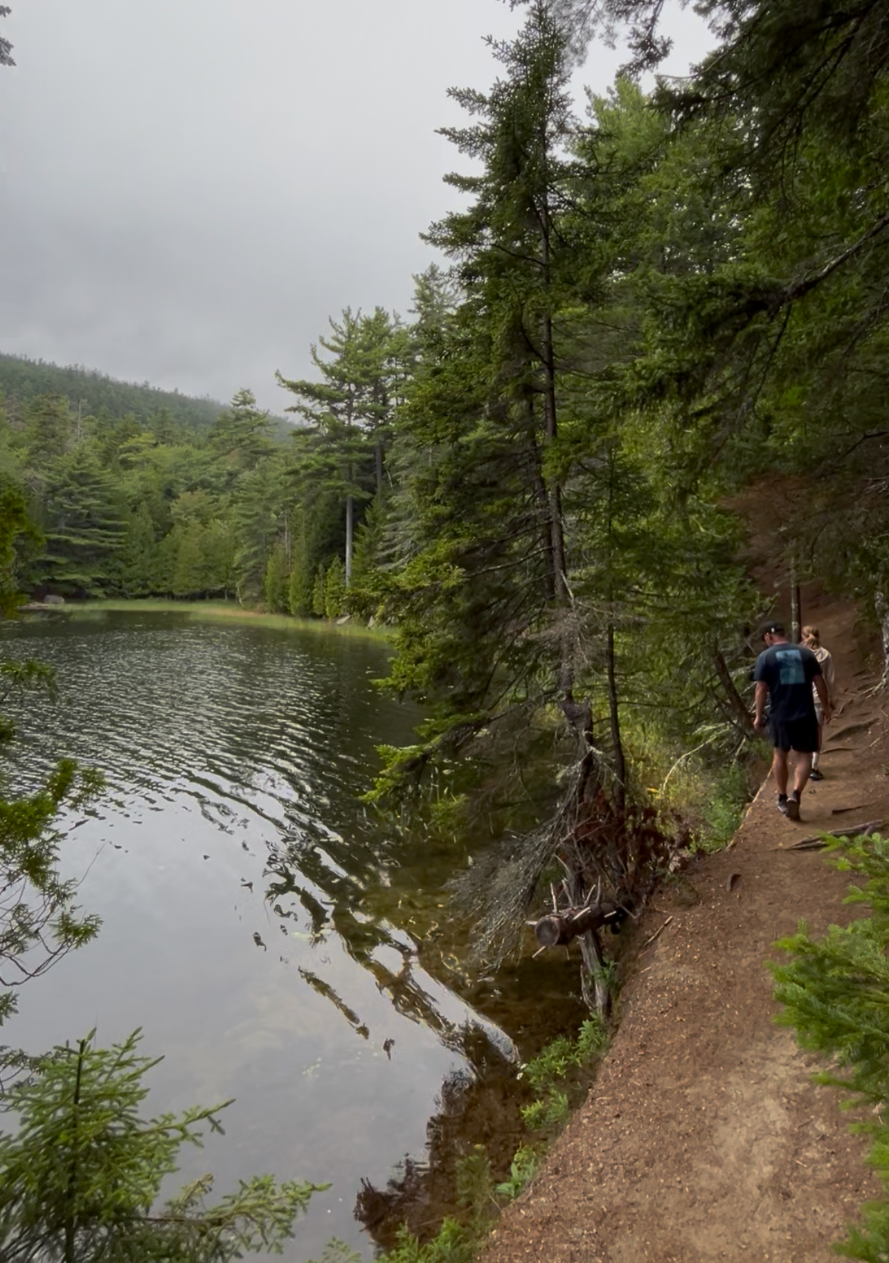 🌲 Lower Hadlock Pond Trail: An Easy, Family-Friendly Hike in Acadia National Park