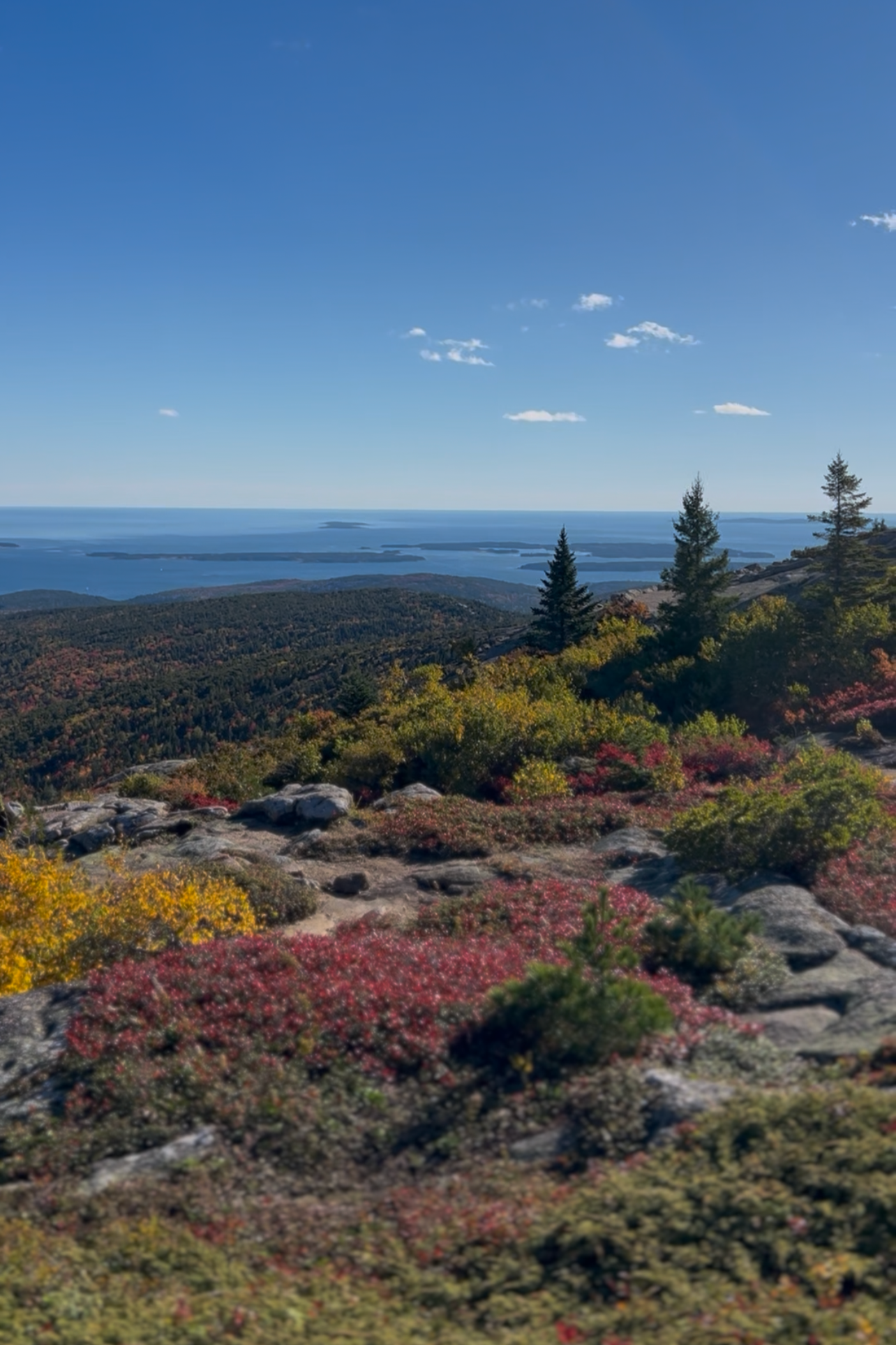Cadillac Mountain Acadia National Park: Everything You Need to Know Before You Go 🌅⛰️