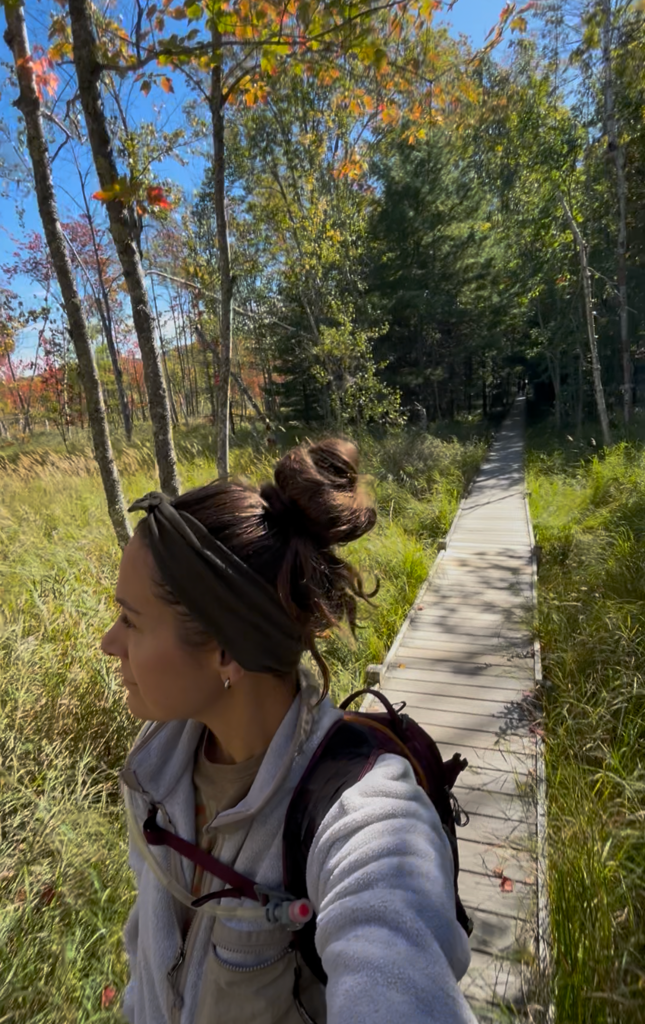 Jesup Path in Acadia National Park: An Easy, Stroller-Friendly &amp; Dog-Friendly Trail 🌲🐾