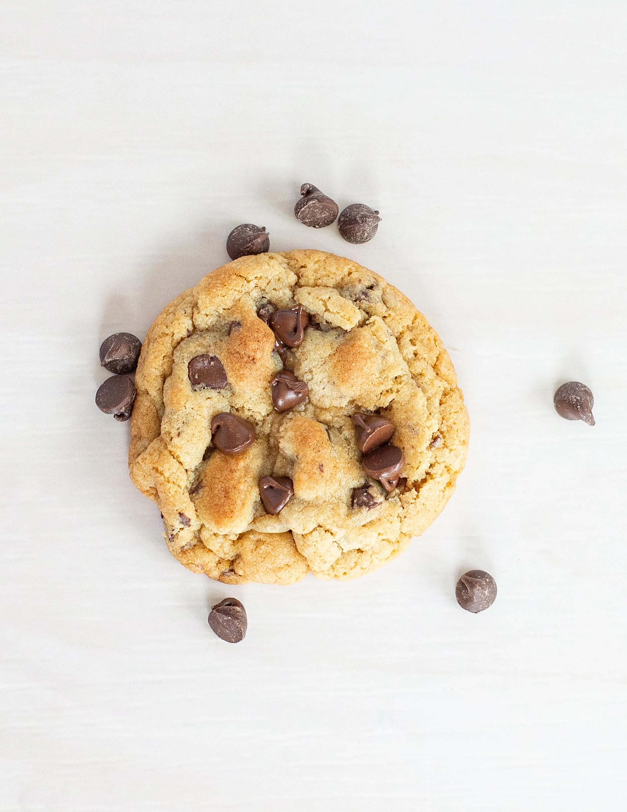 Chocolate Chip Cookie