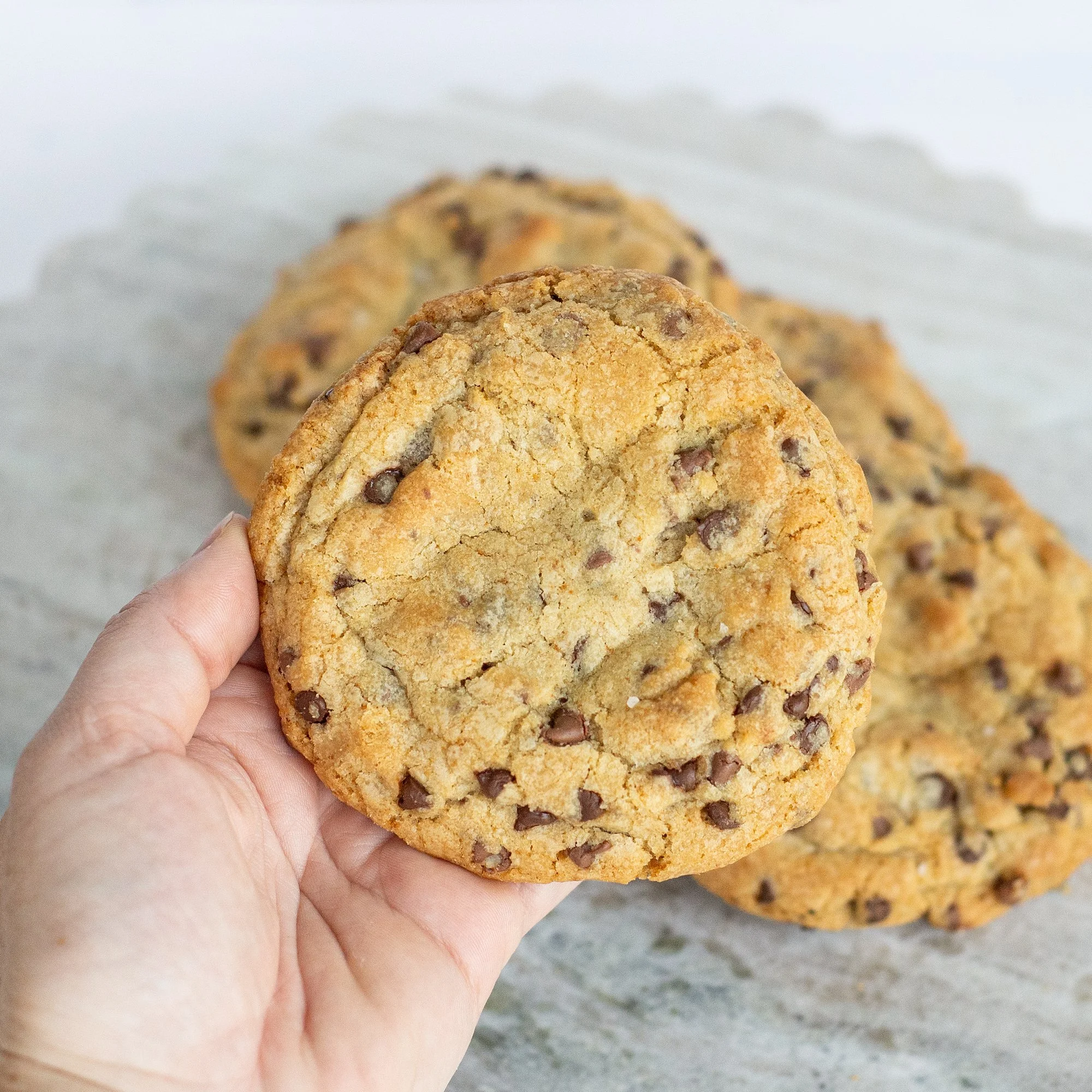 chocolate chip cookie 5.jpg
