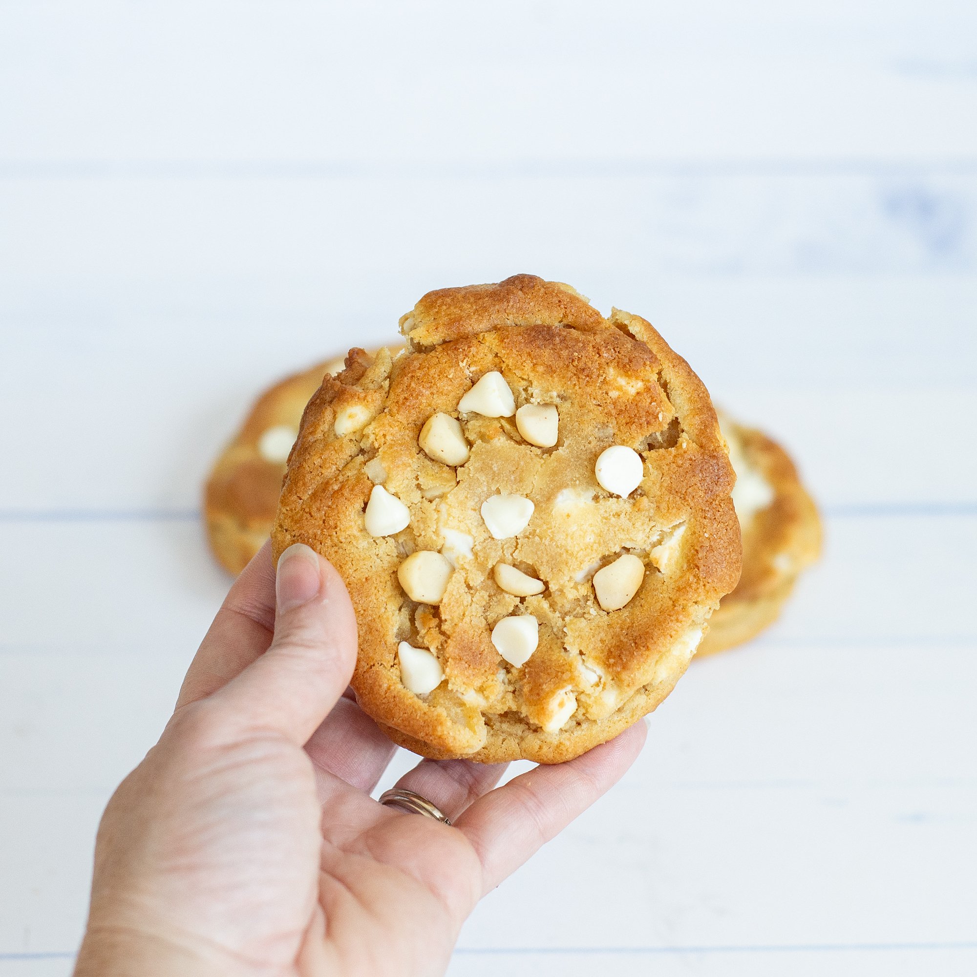 white chocolate Macnut cookie.jpg