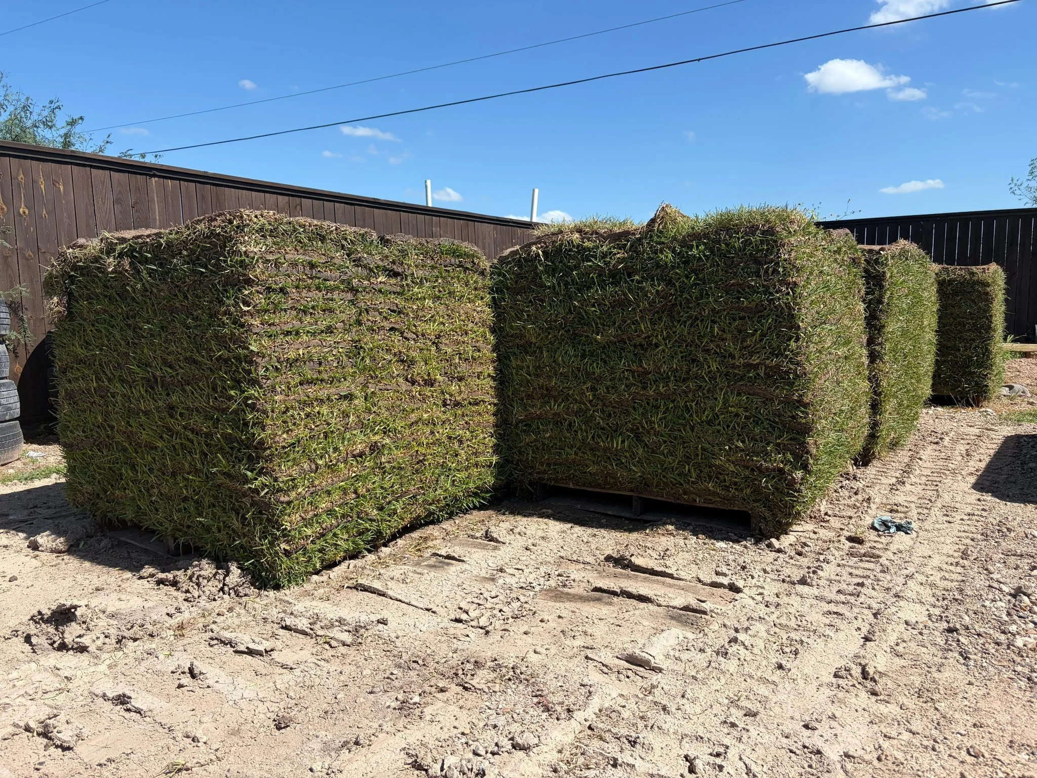 Last day continuing celebrating all pallets $210 St Agustin (450 sqft) 
(956) 495-2238
9 Available for pick up TODAY ONLY
