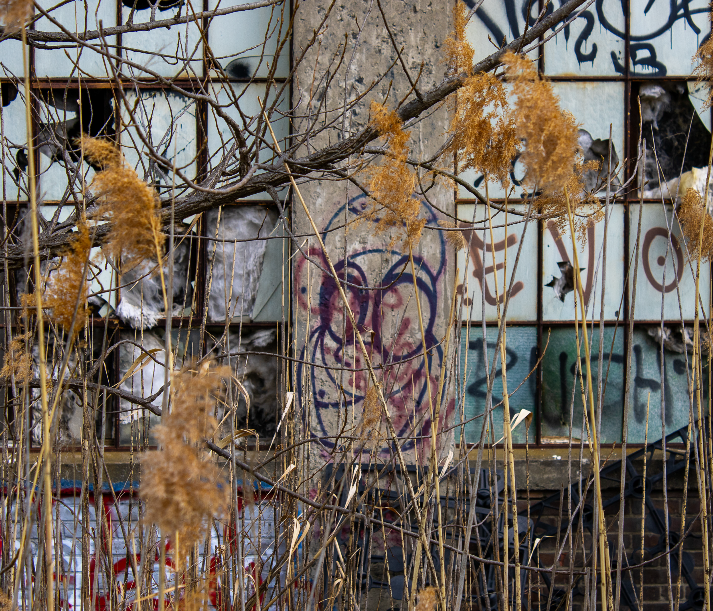 McGovernPhotoBook_Page_21_Image_0001.png
