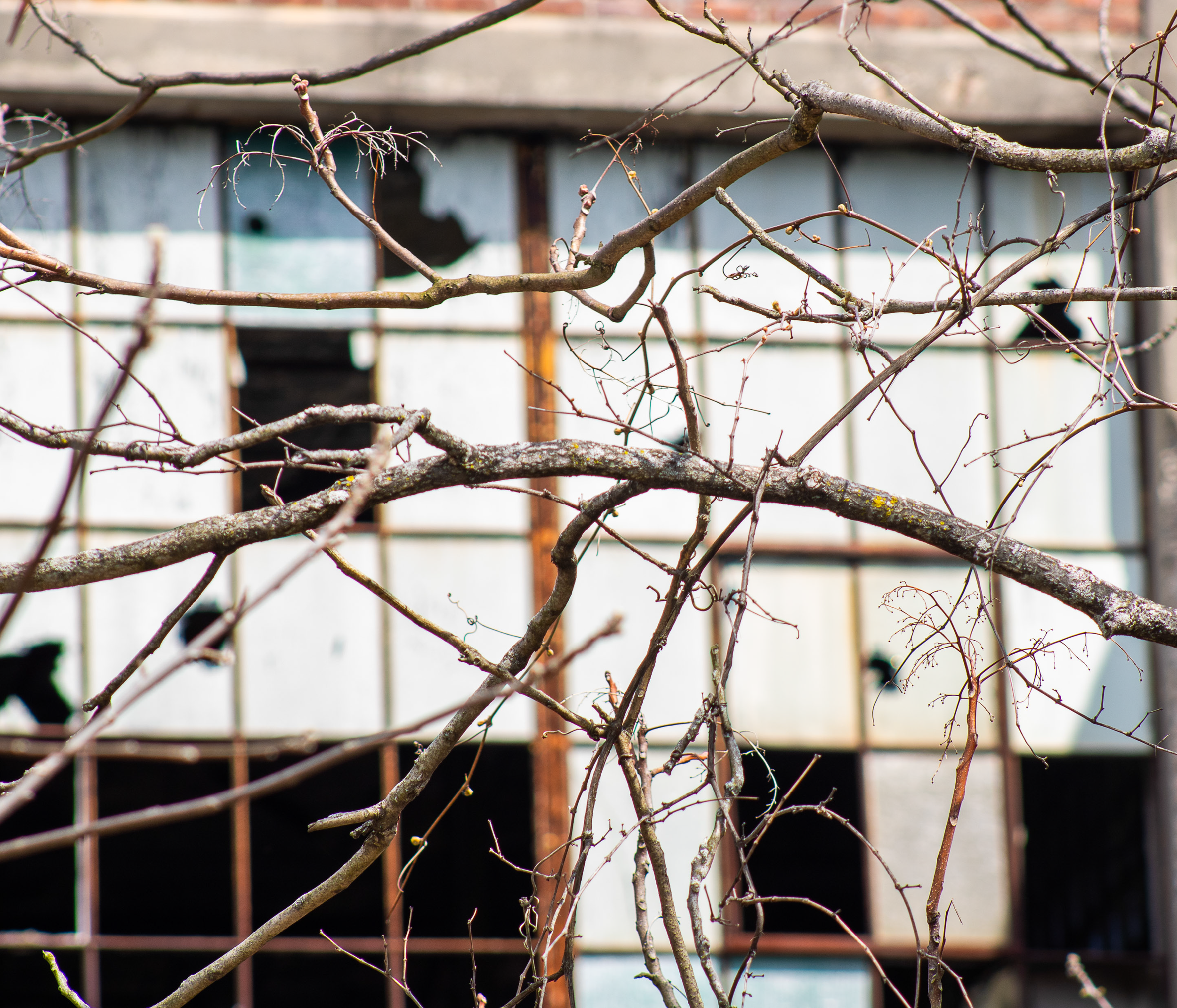 McGovernPhotoBook_Page_19_Image_0001.png