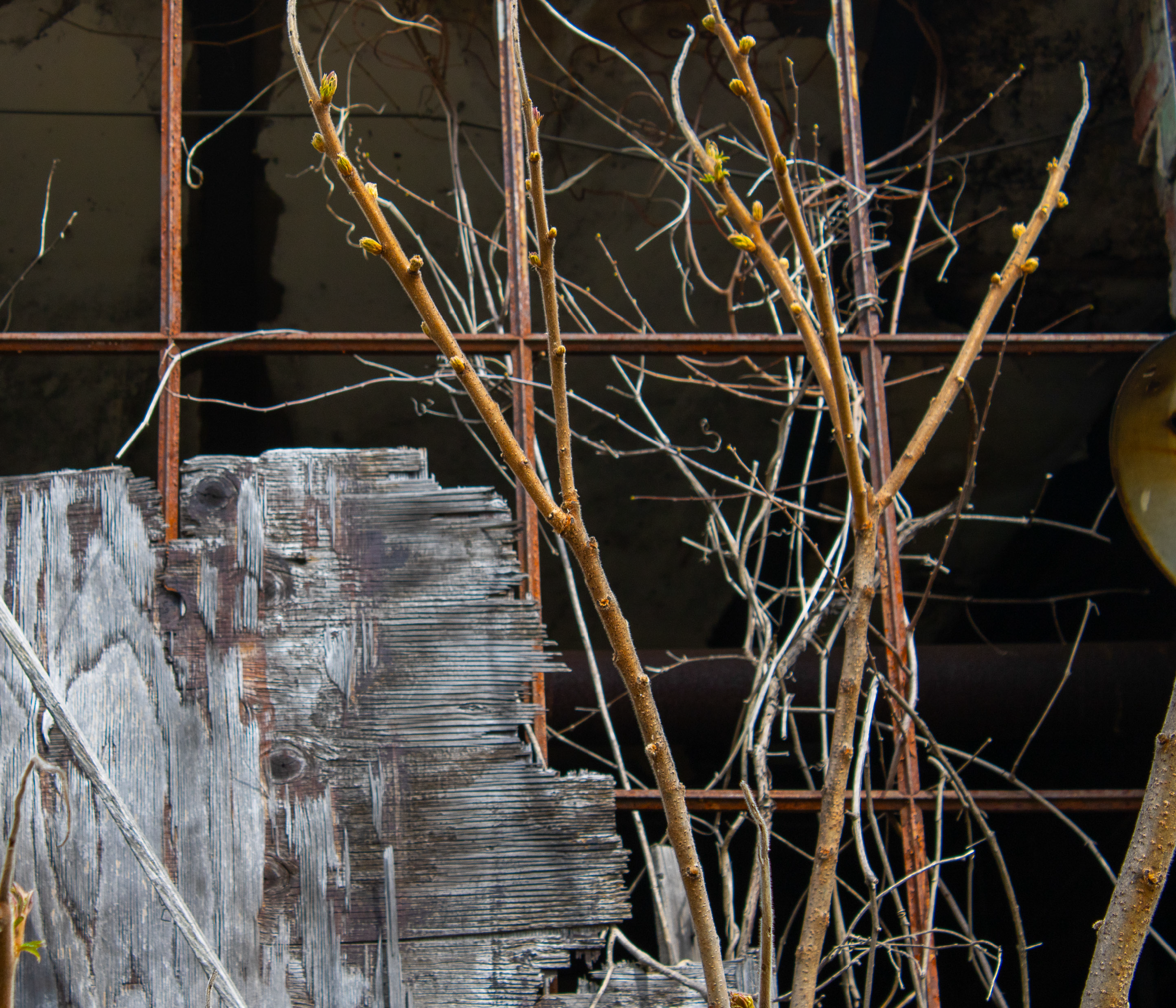 McGovernPhotoBook_Page_12_Image_0001.png