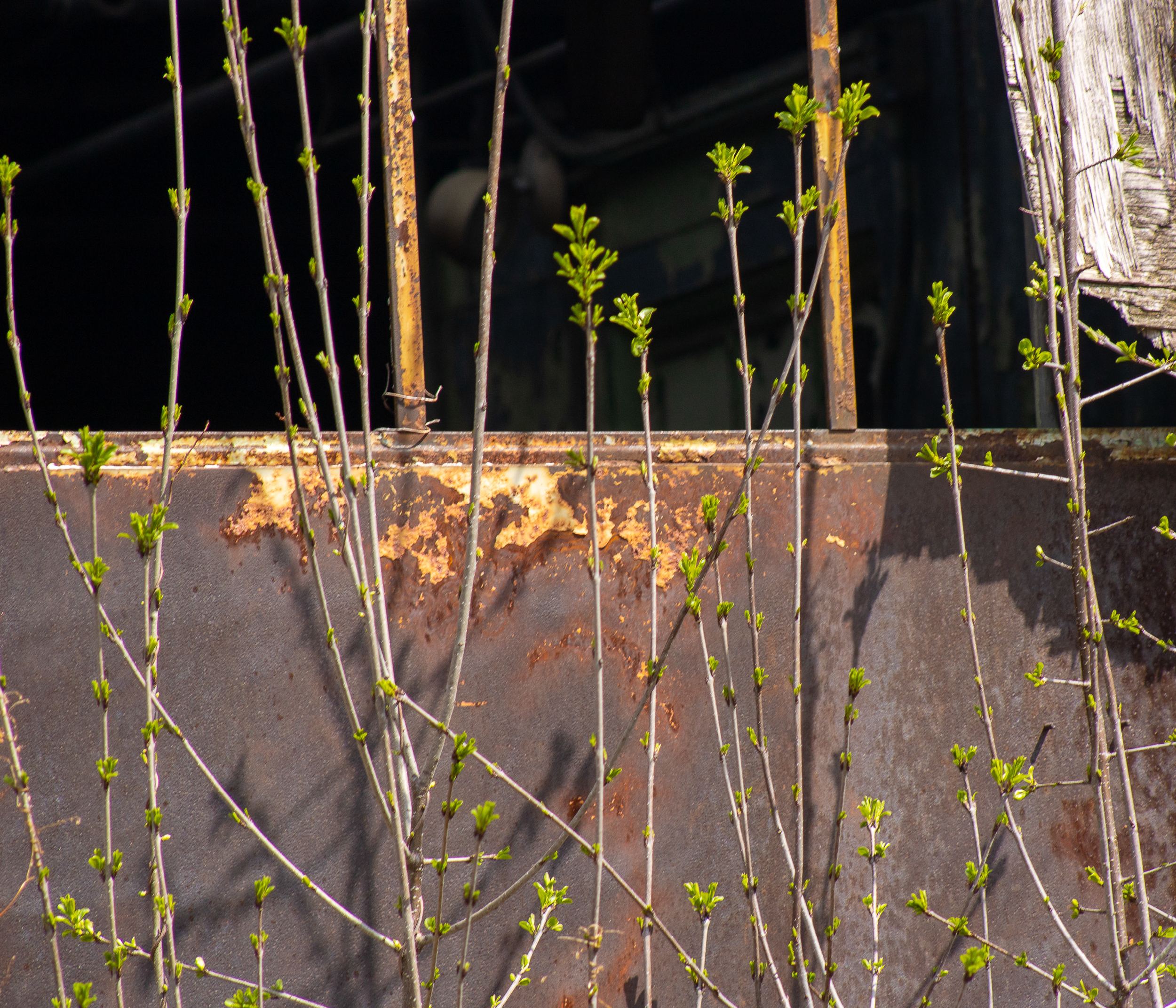 McGovernPhotoBook_Page_07_Image_0001.png