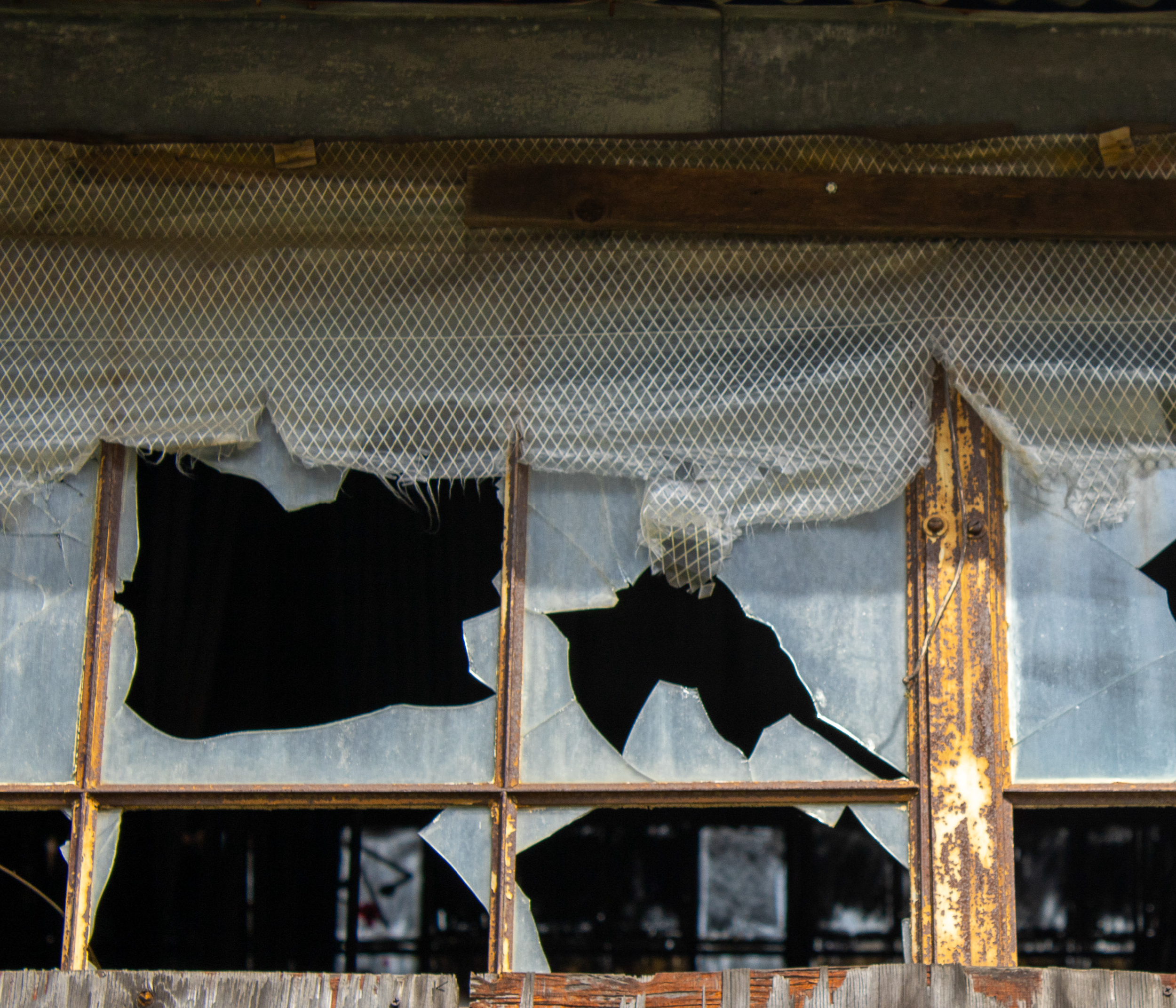 McGovernPhotoBook_Page_13_Image_0001.png