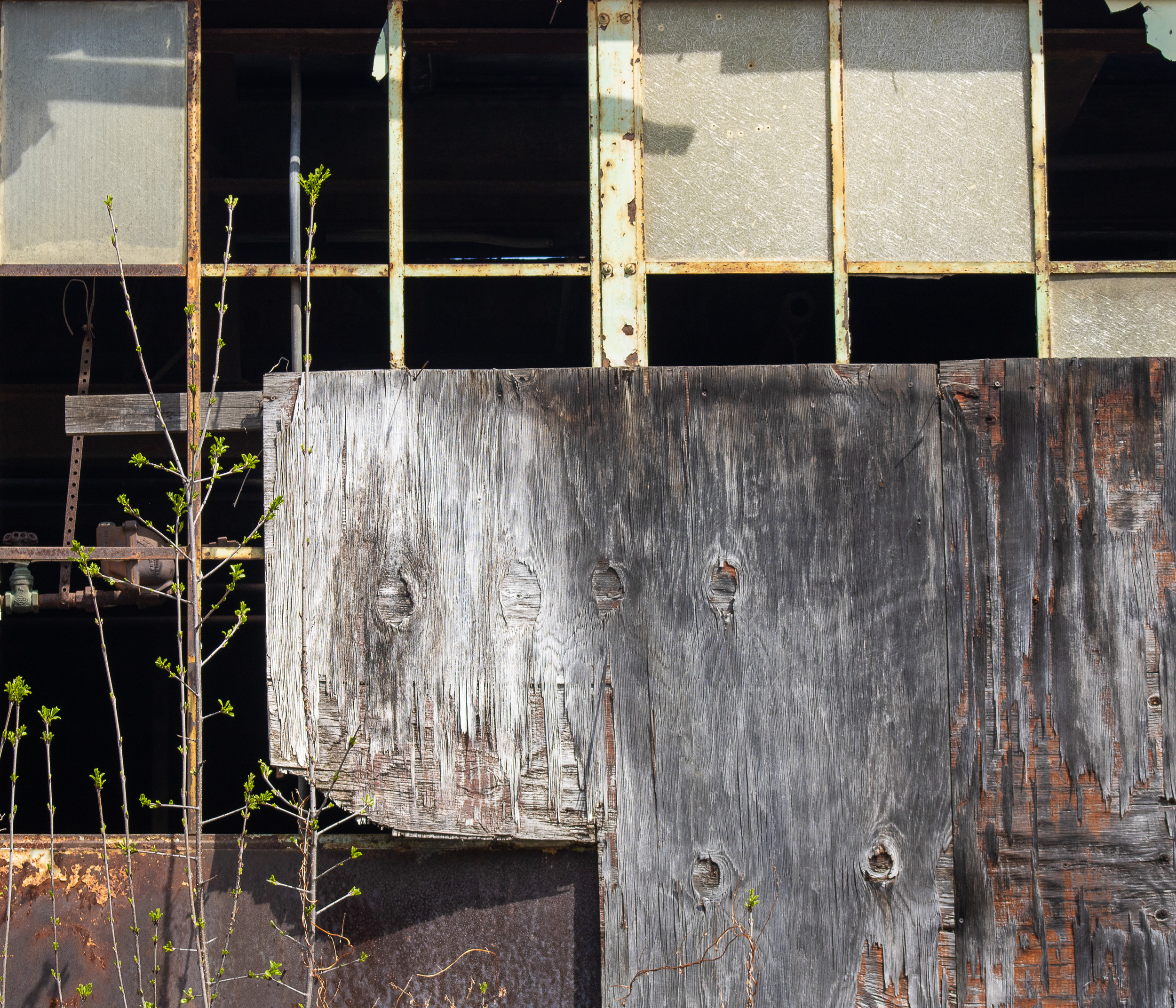 McGovernPhotoBook_Page_04_Image_0001.png