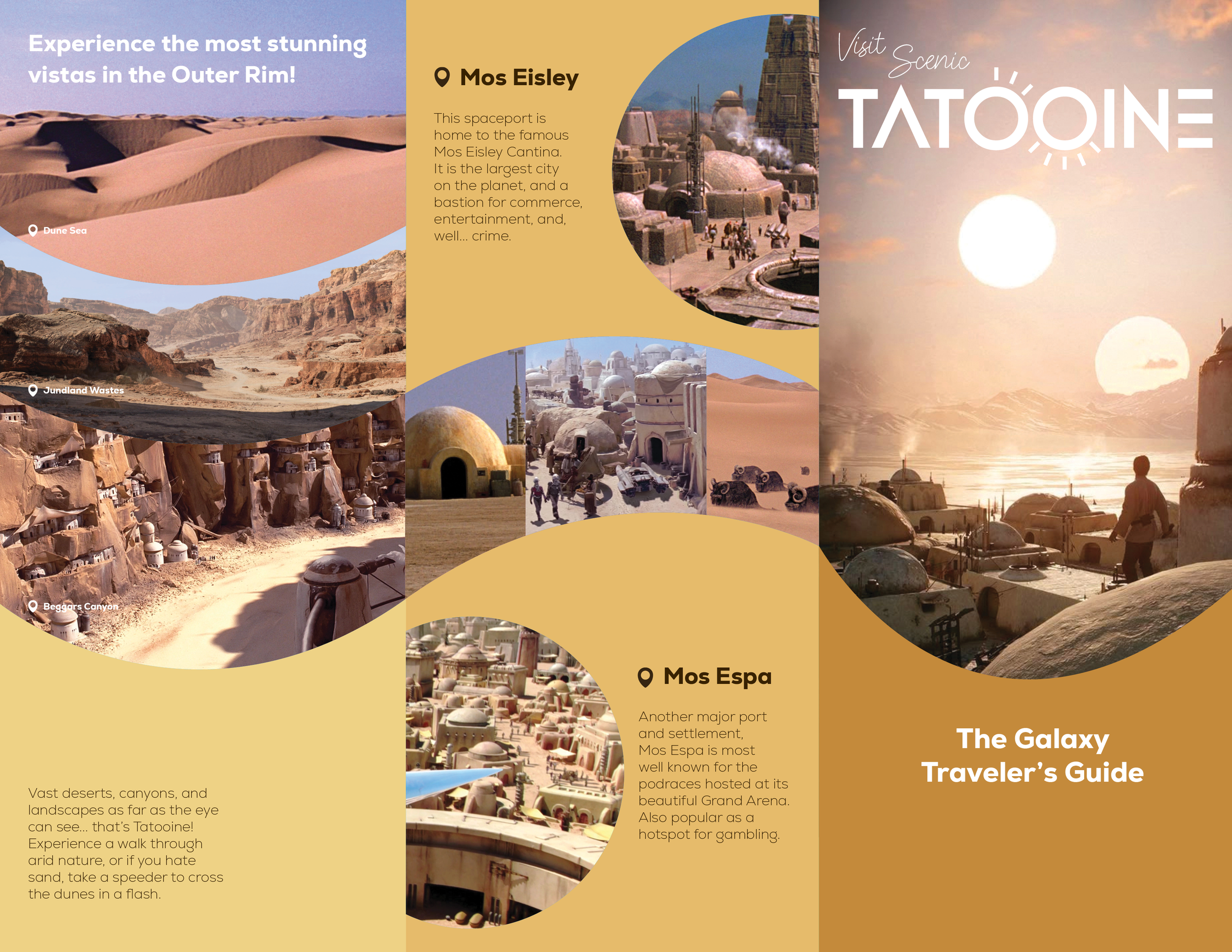 McGovern_P4_Brochure.png