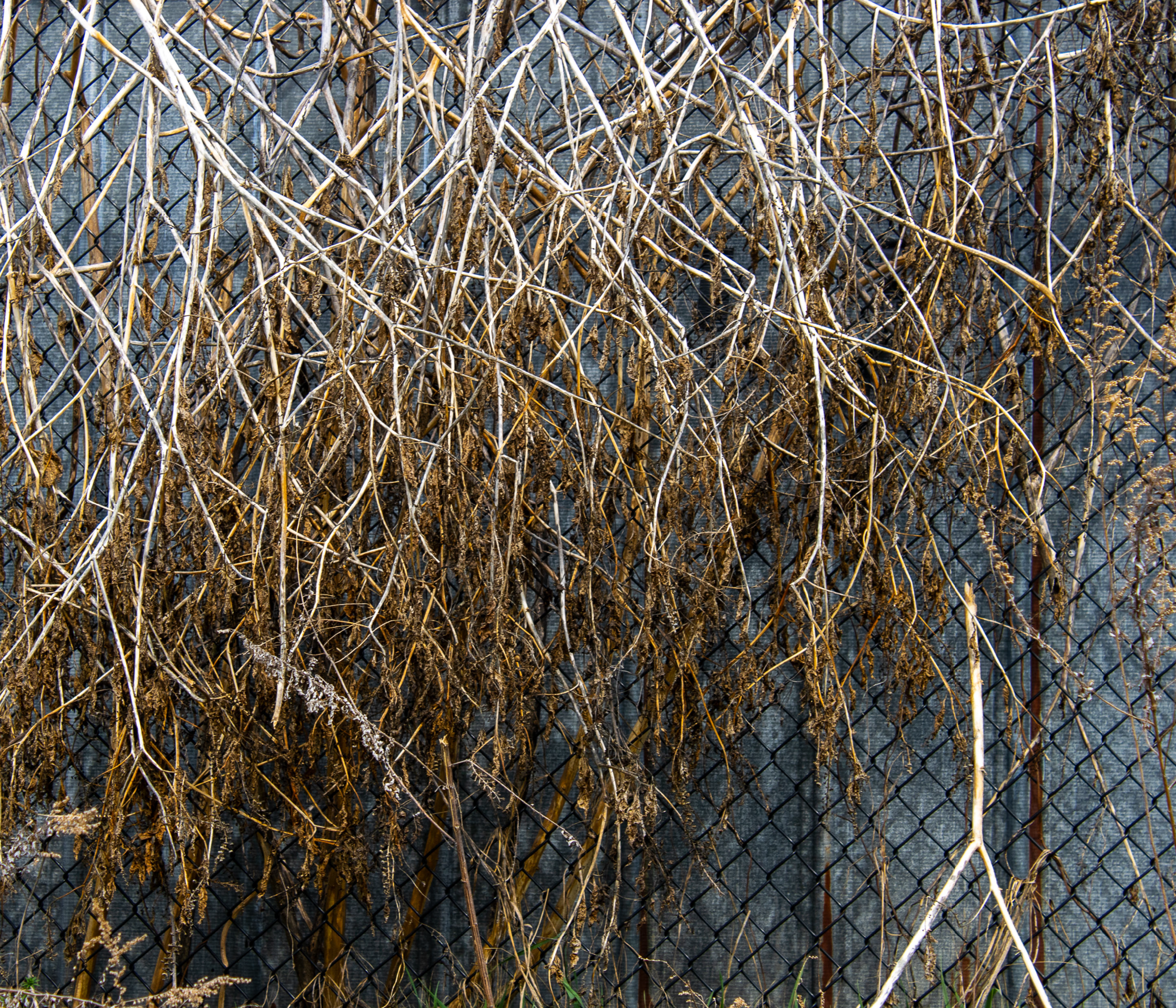 McGovernPhotoBook_Page_25_Image_0001.png