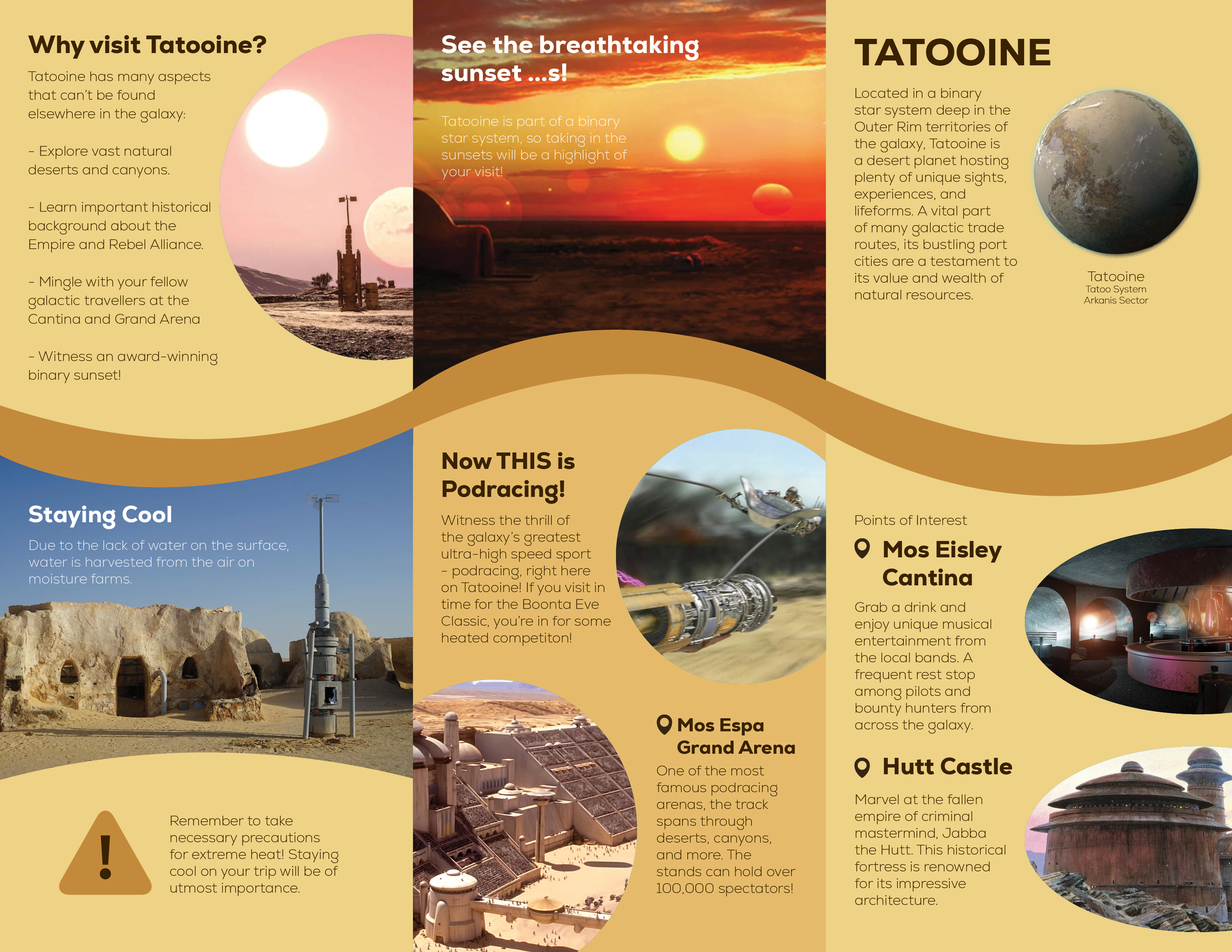 McGovern_P4_Brochure2.png