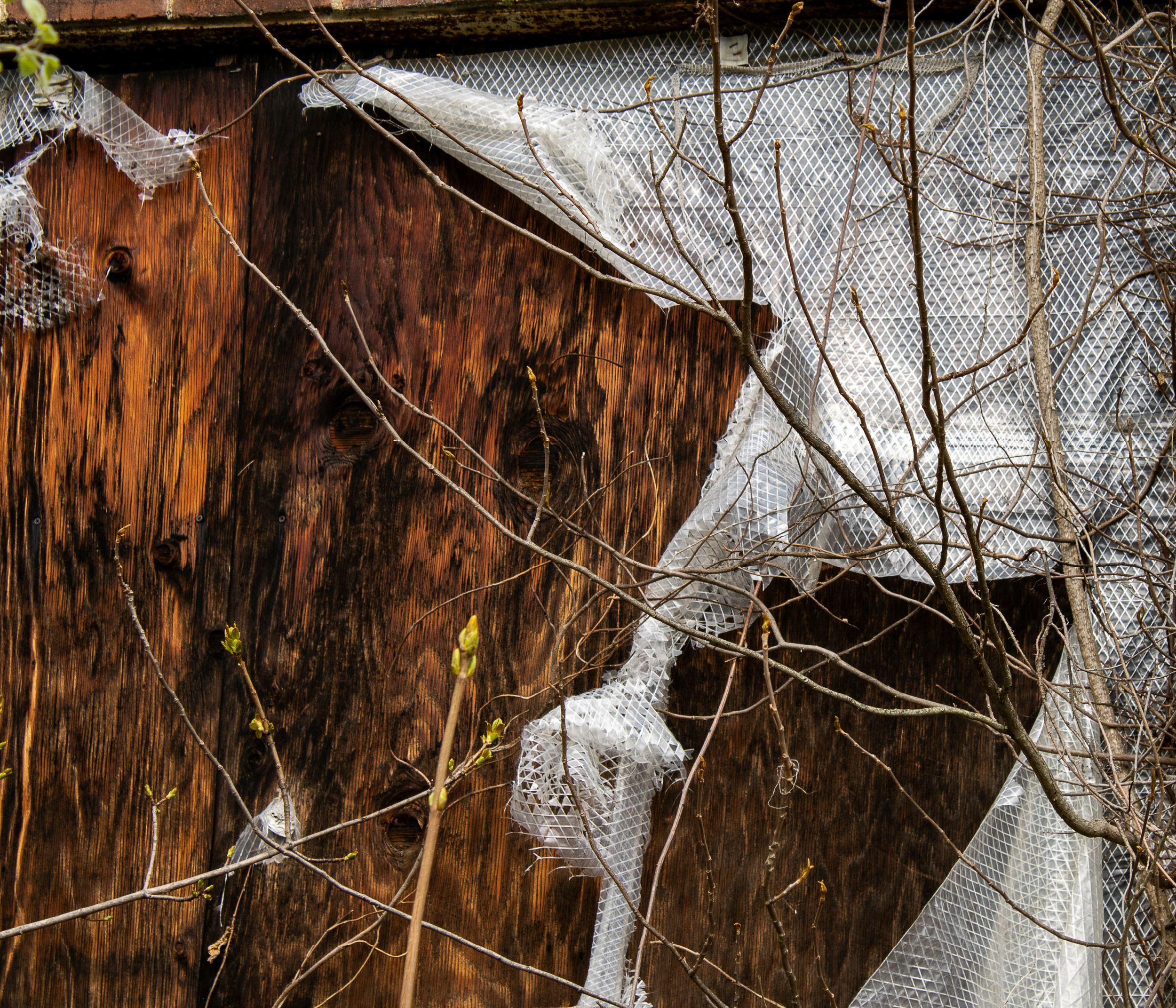 McGovernPhotoBook_Page_24_Image_0001.png