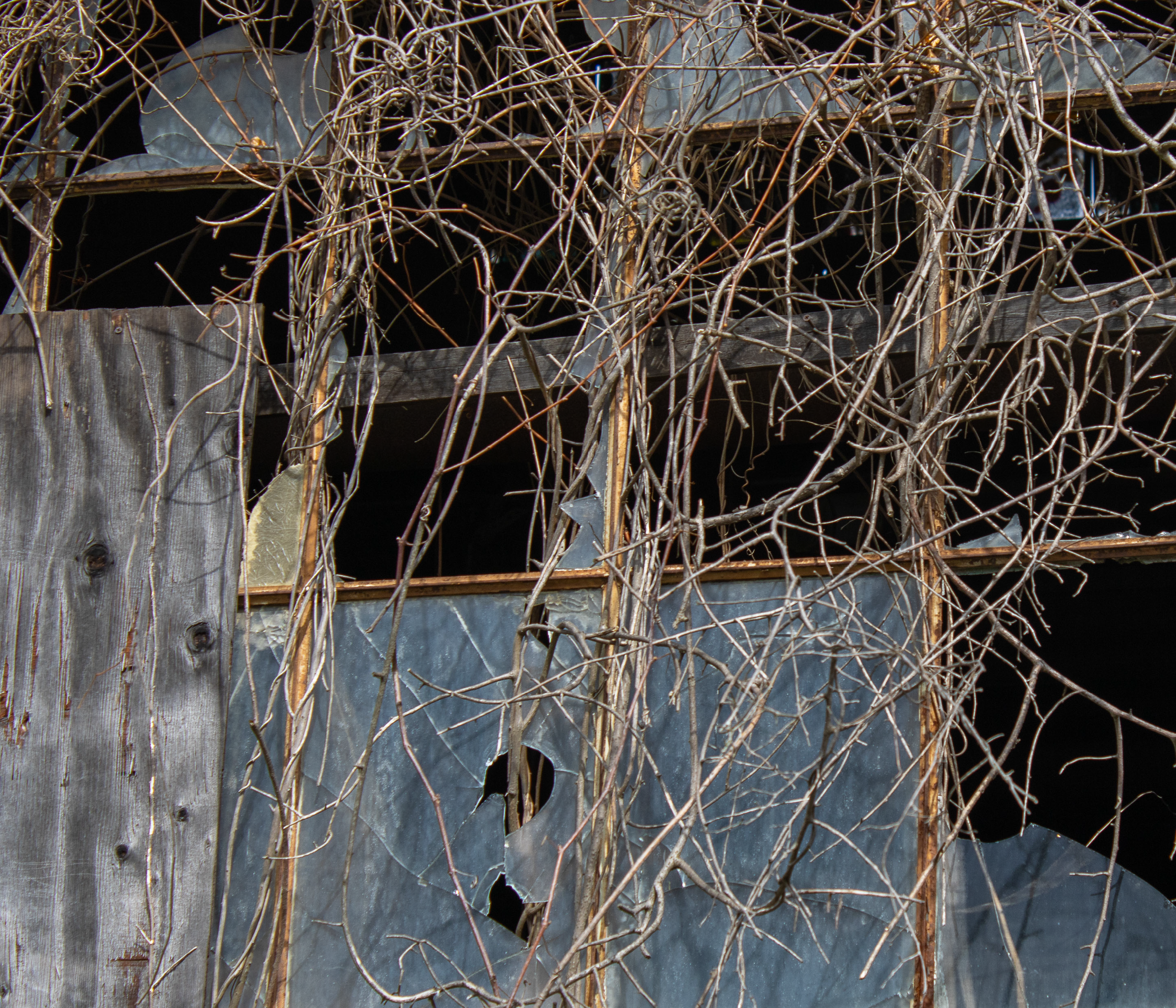McGovernPhotoBook_Page_16_Image_0001.png