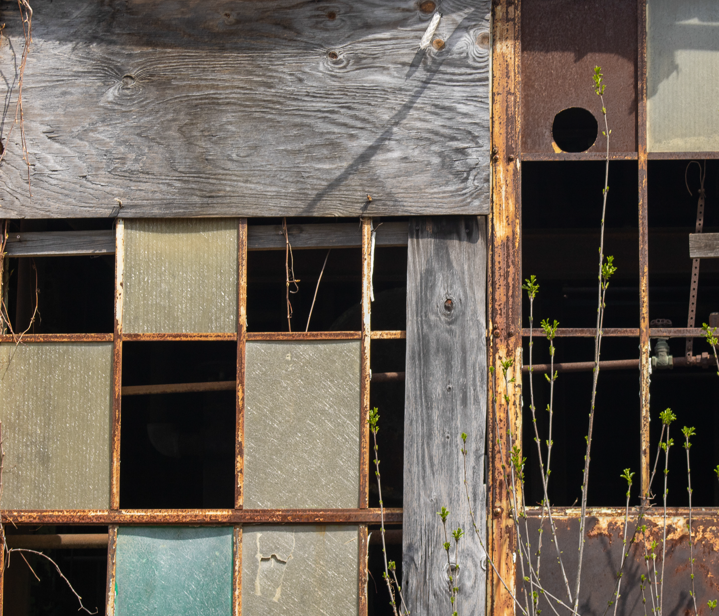 McGovernPhotoBook_Page_05_Image_0001.png