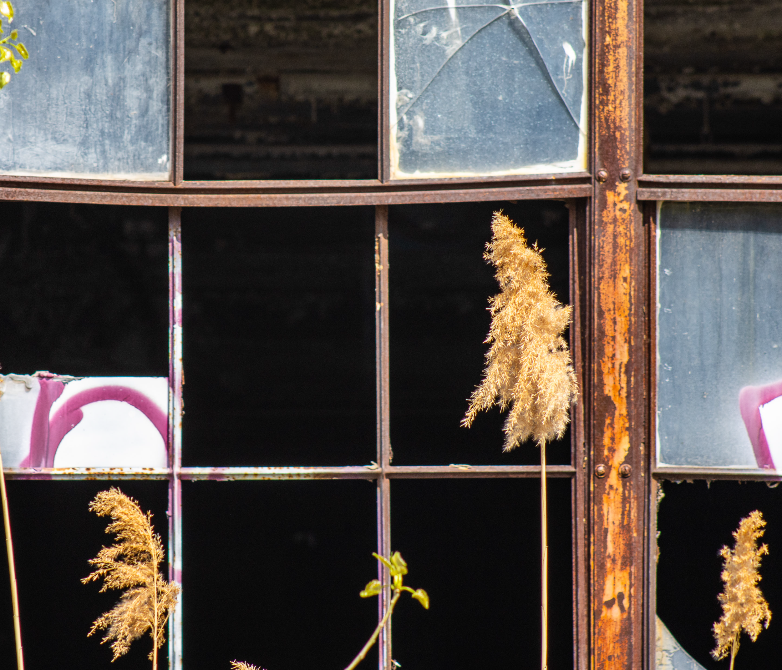 McGovernPhotoBook_Page_23_Image_0001.png