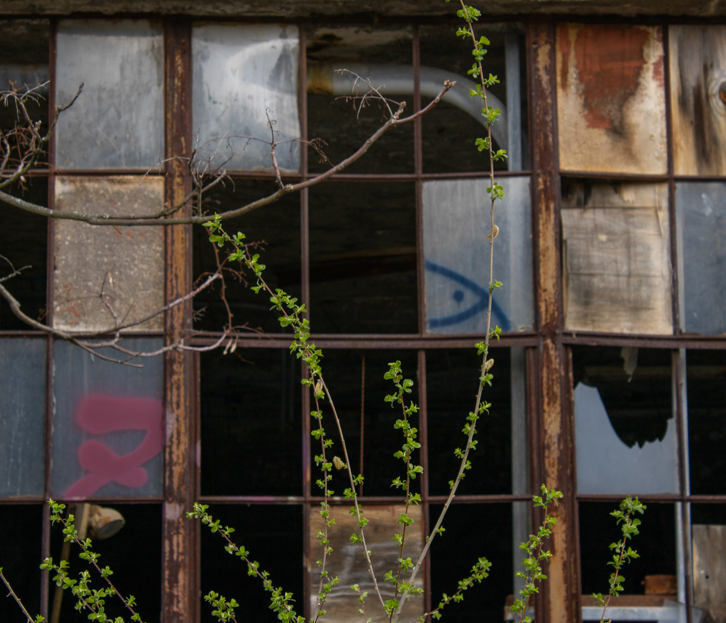 McGovernPhotoBook_Page_17_Image_0001.png