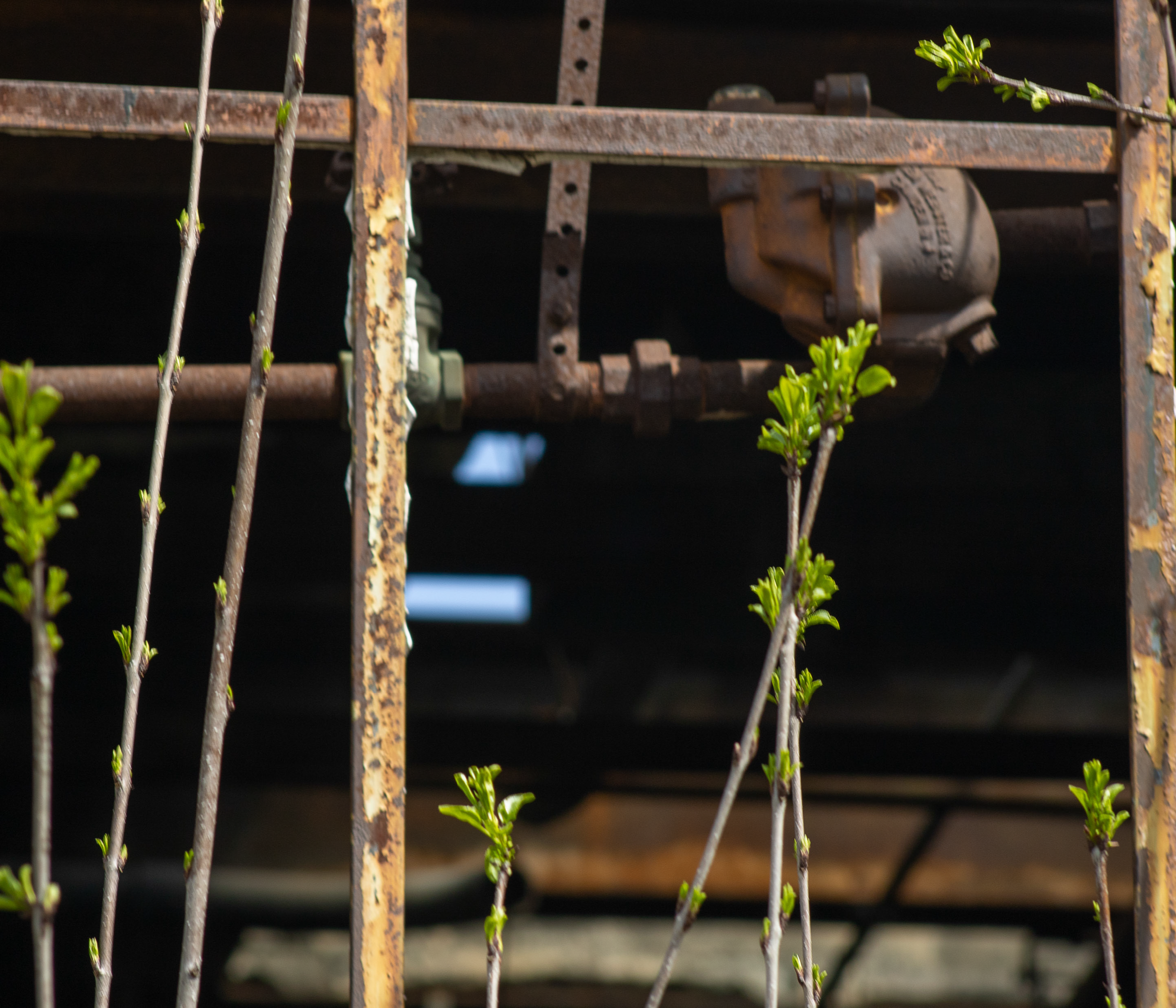 McGovernPhotoBook_Page_06_Image_0001.png