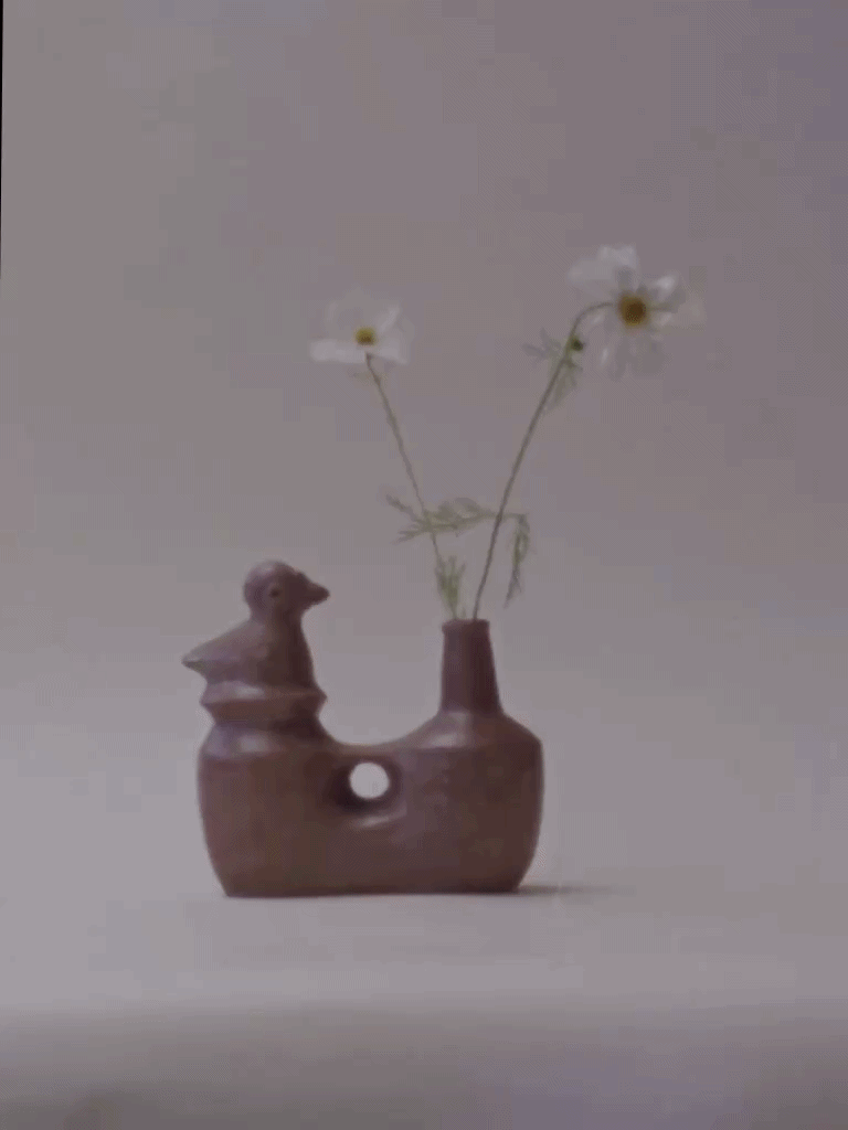 birdvessel-ezgif.com-video-to-gif-converter.gif