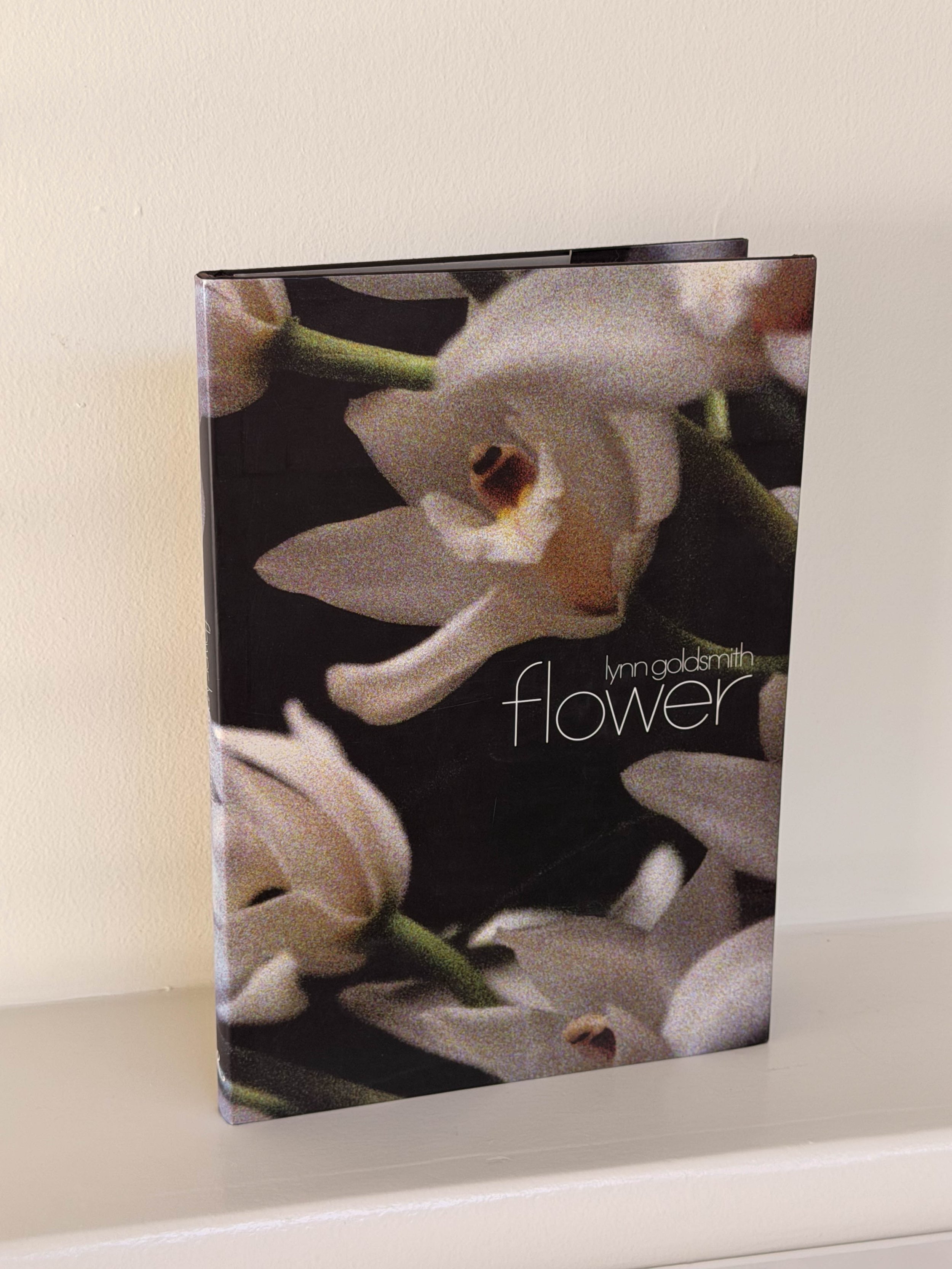 Flower by Lynn Goldsmith