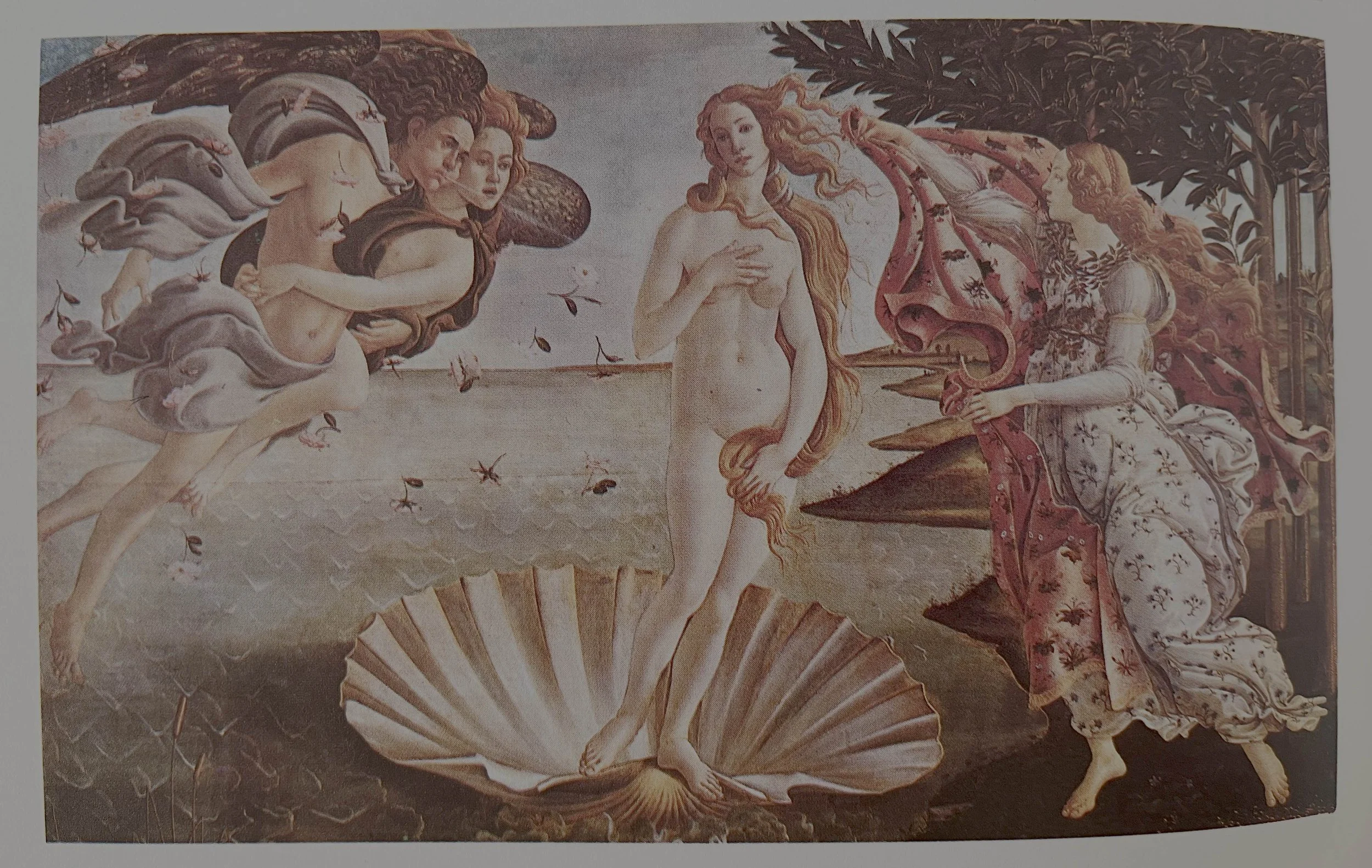 shells 5.jpg