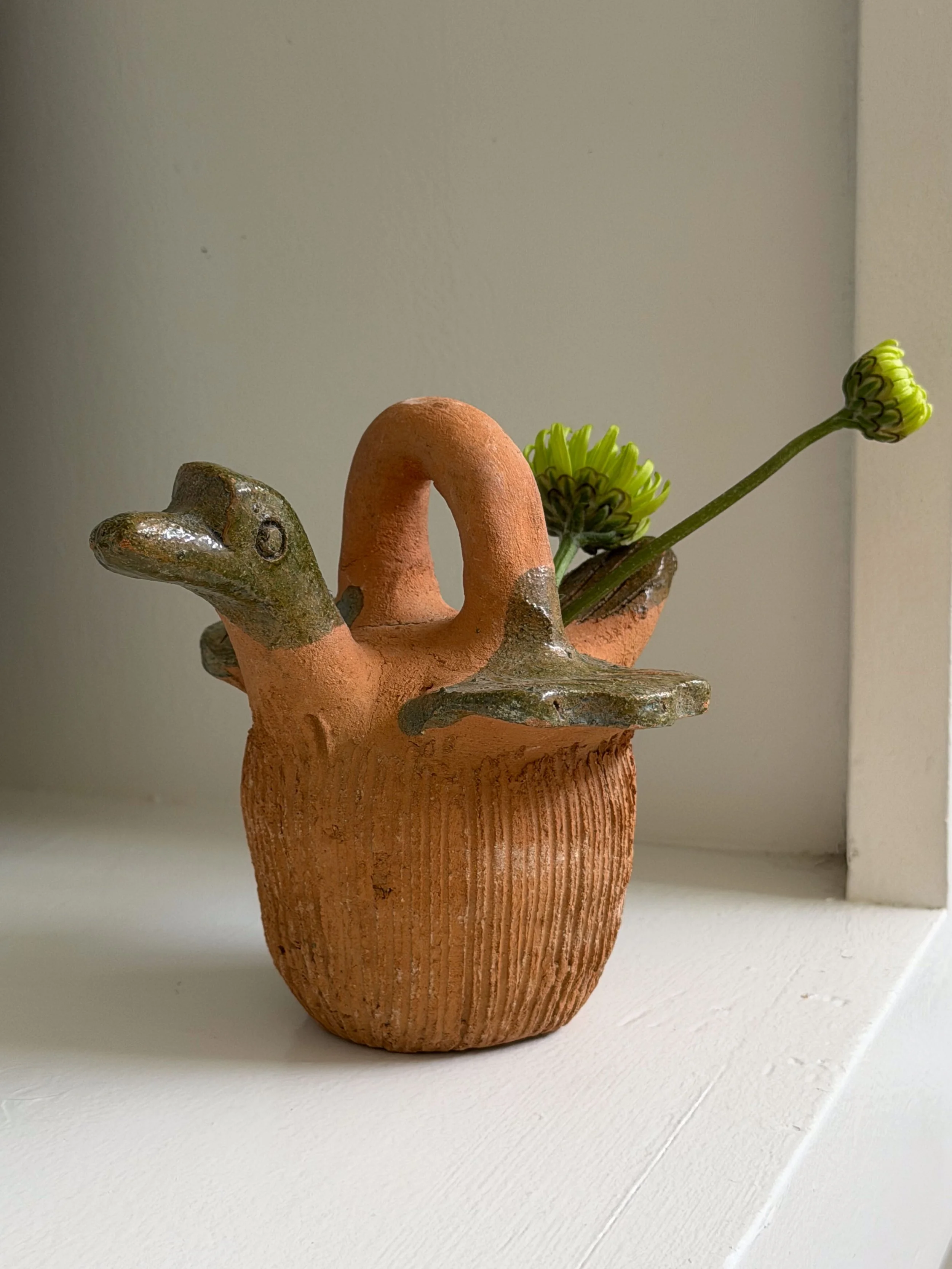 Hanging Chia Pet