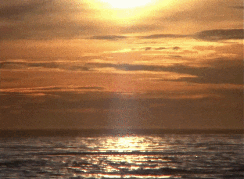 sunsetcopy-ezgif.com-optimize.gif