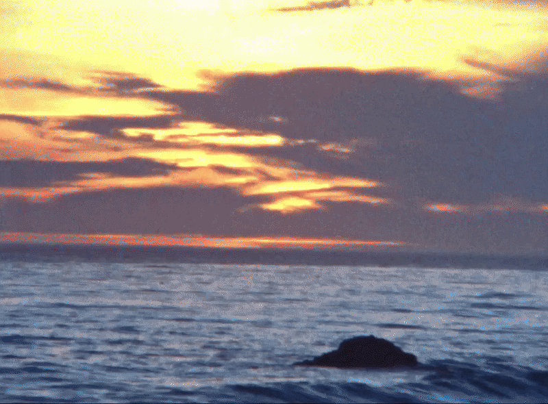 sunset2-ezgif.com-optimize.gif