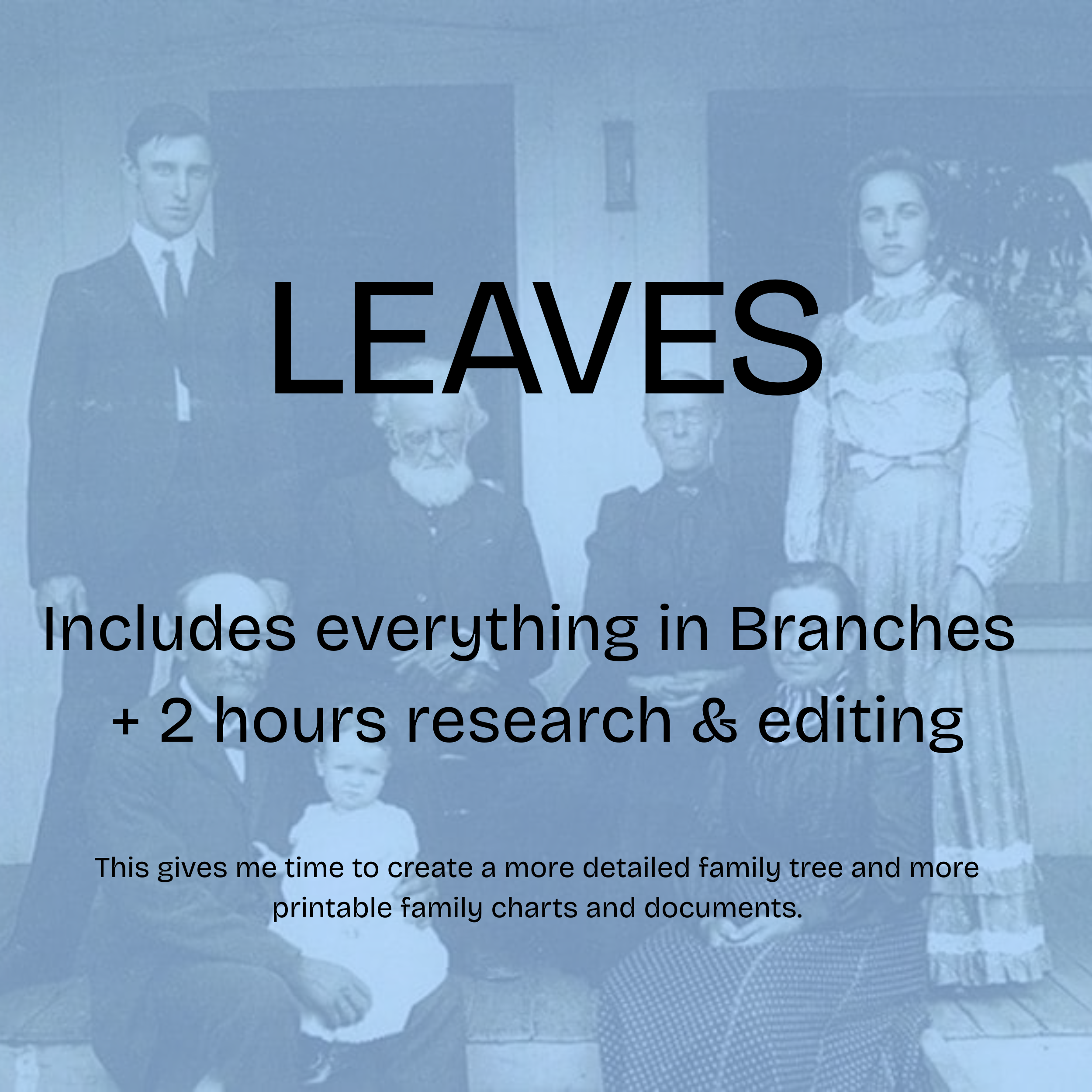 Leaves