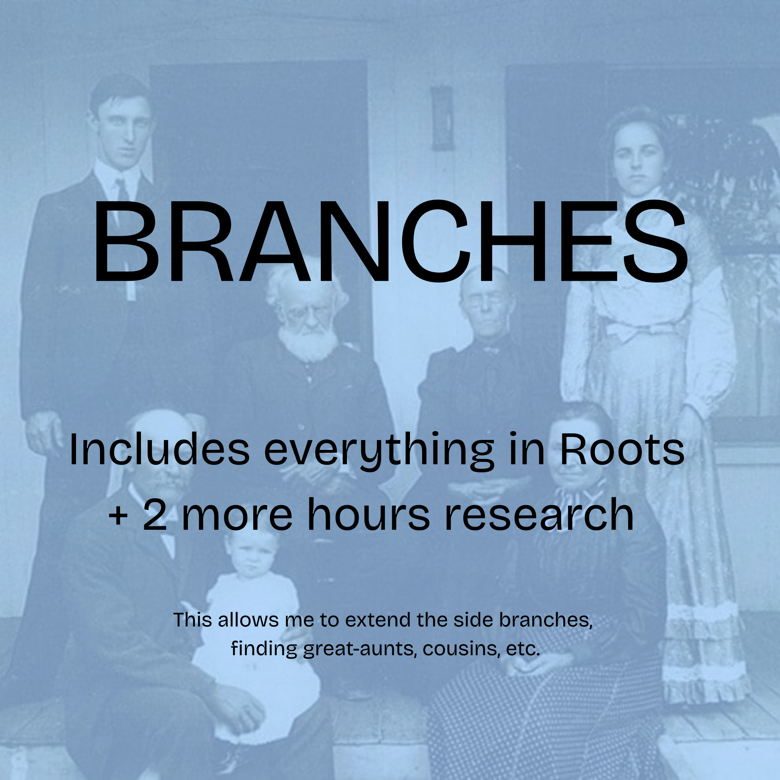 Branches