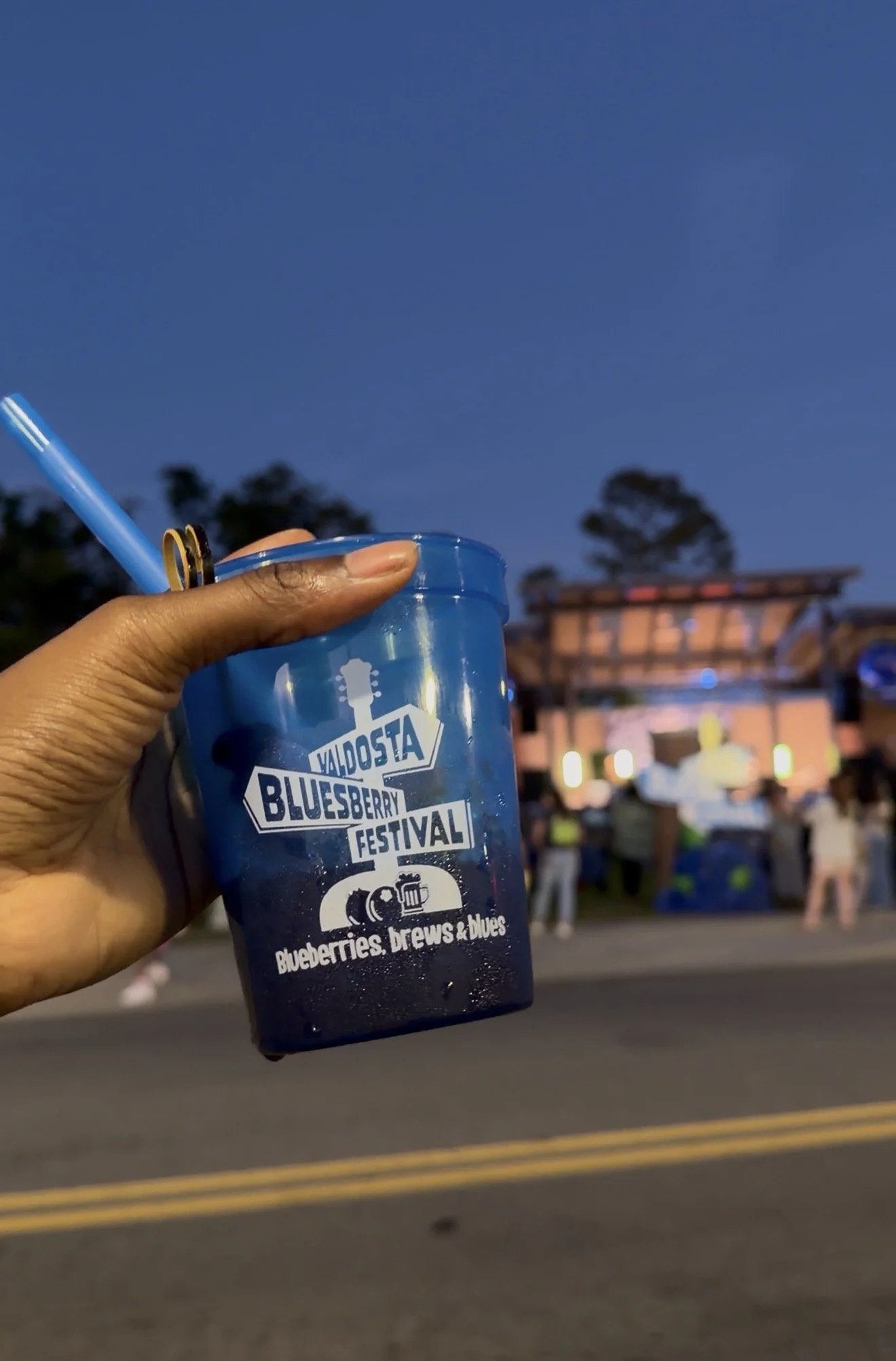 What the Bluesberry Festival in Valdosta Is Really Like (From a Local Mom of 3)