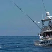 2013topshot.jpg
