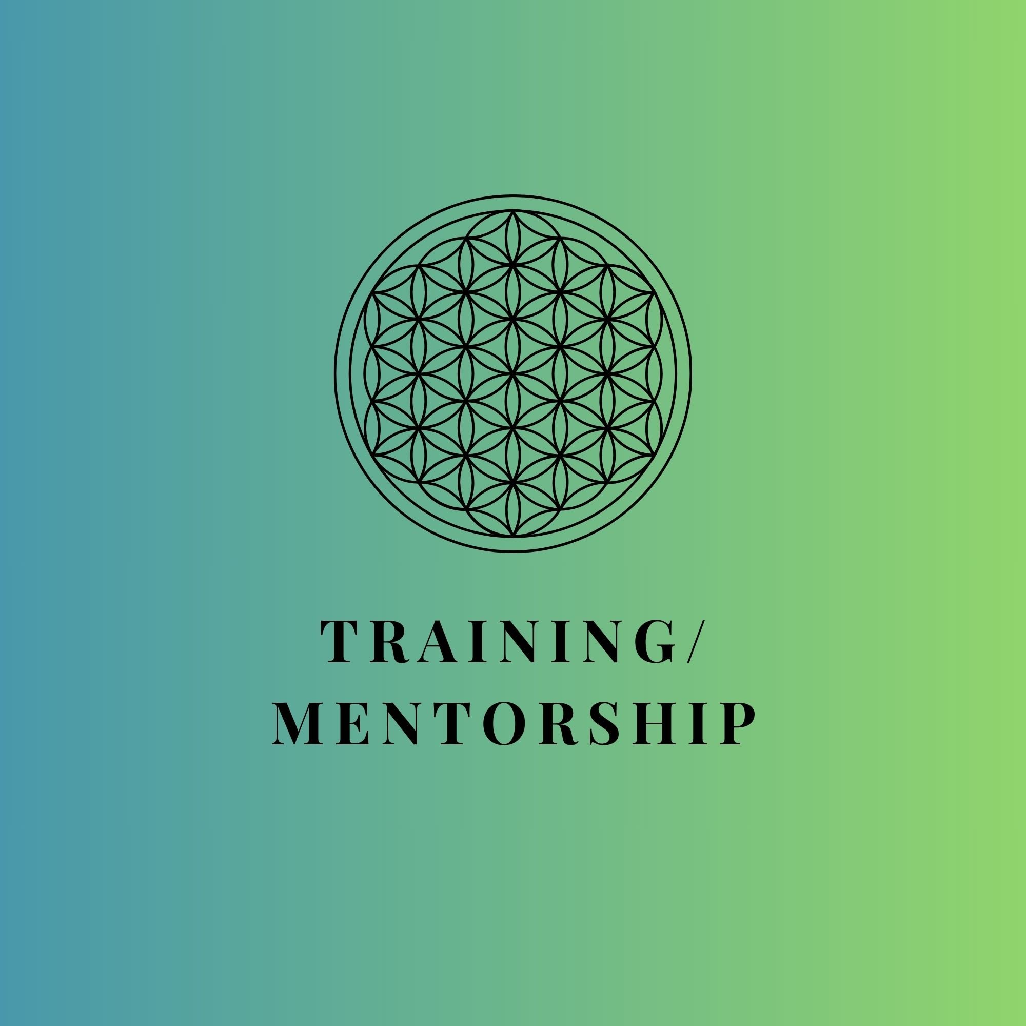 Training/Mentorship