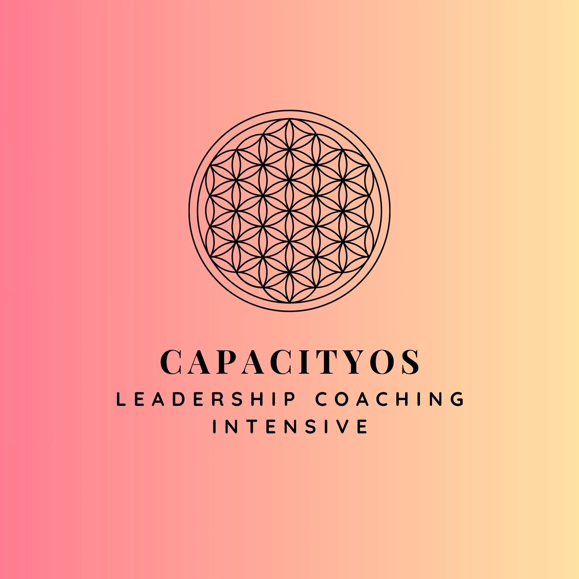 Leadership Coaching Package