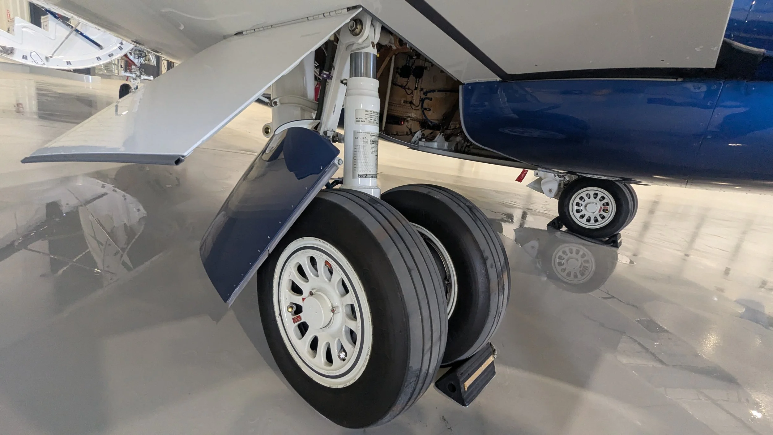 Close-up of an aircraft landing gear with white wheels, blue wheel covers, and a shock absorber, inside a hangar with a reflective floor.