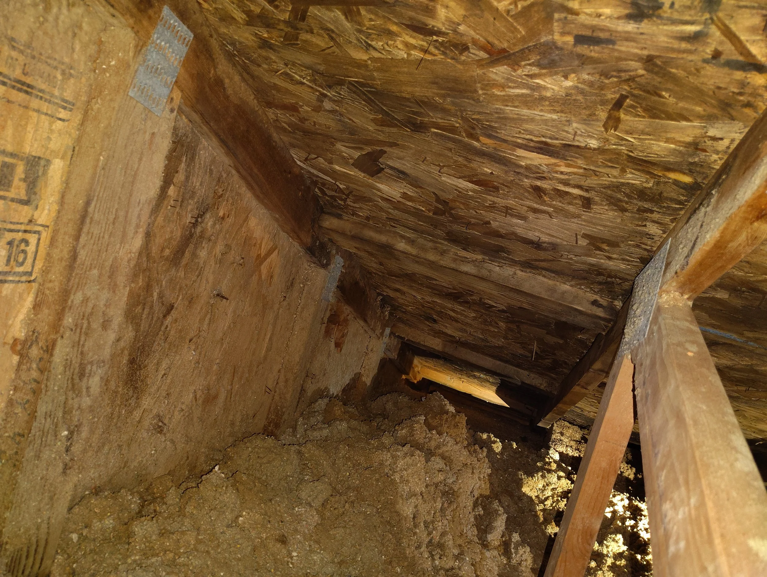 After 17 (Mold Remediation)