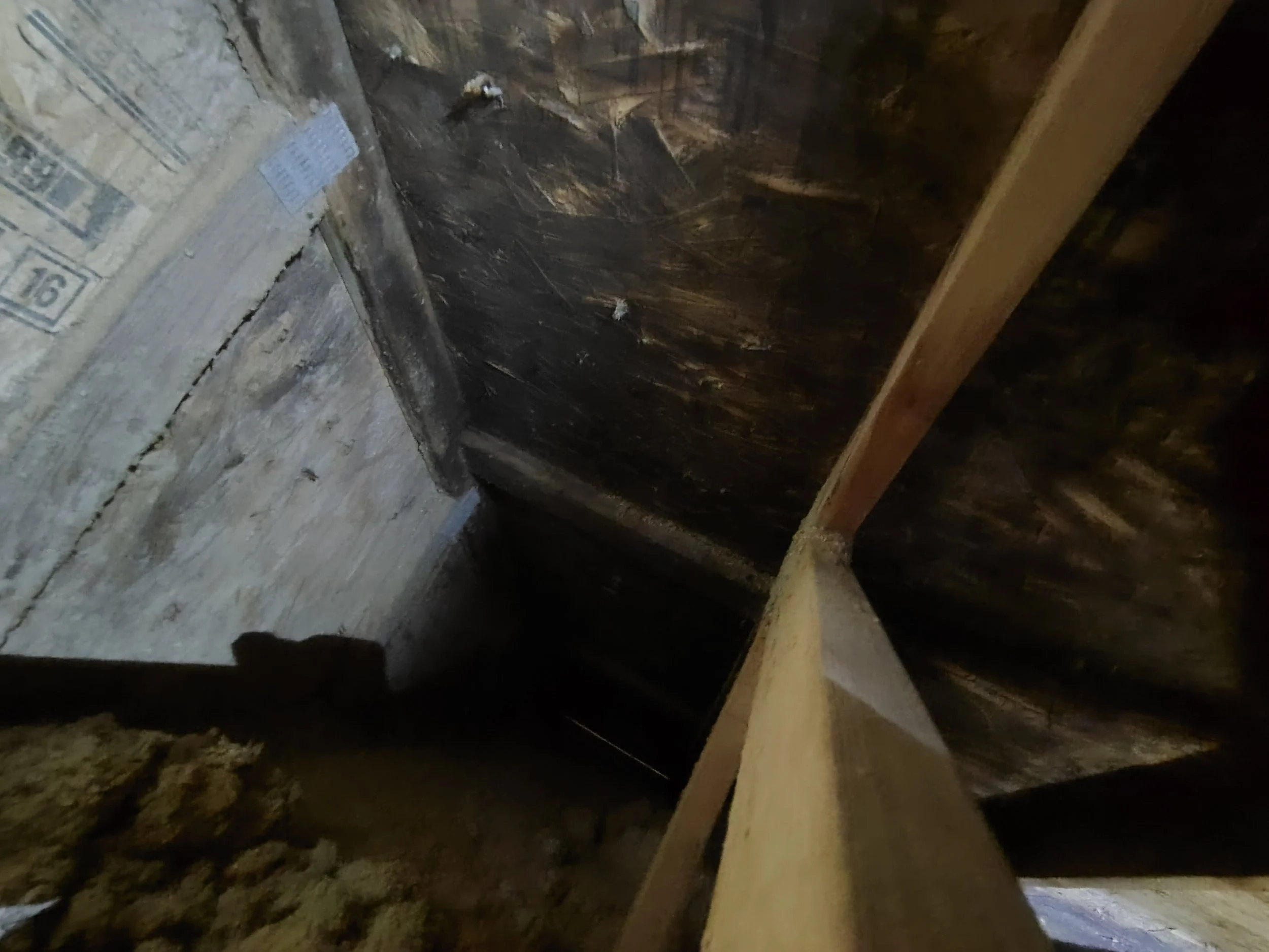 Before 17 (Mold Remediation)