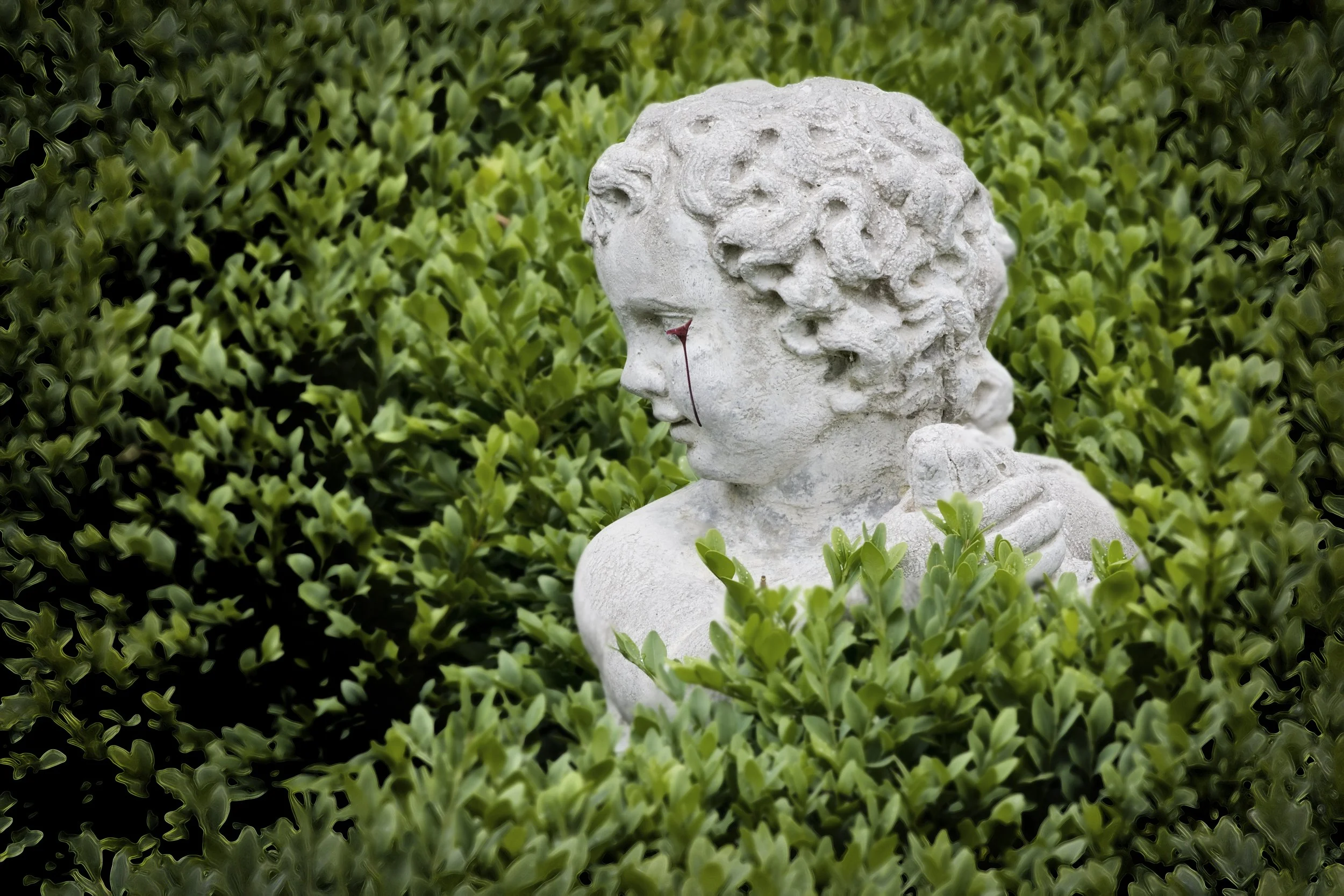 A stone sculpture of a young person's head and shoulders, with curly hair, surrounded by green bushes, with a slight tear on its cheek.