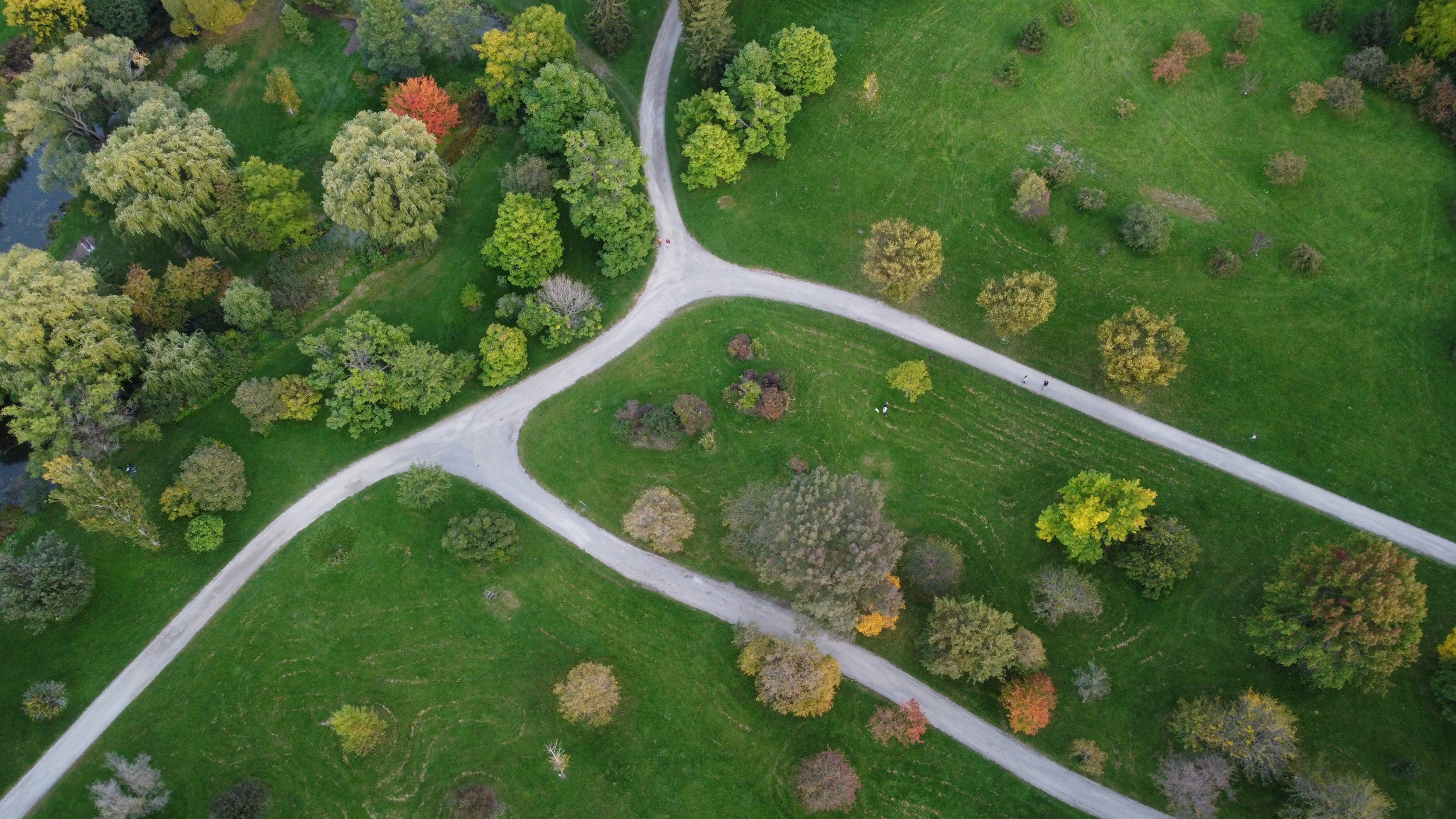 An aerial view of a park with green grass, trees, and winding dirt paths.