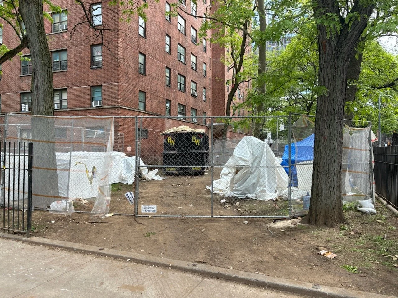 NYC's Tree Protection Laws: A Guide for Anyone Planning Construction or Renovation