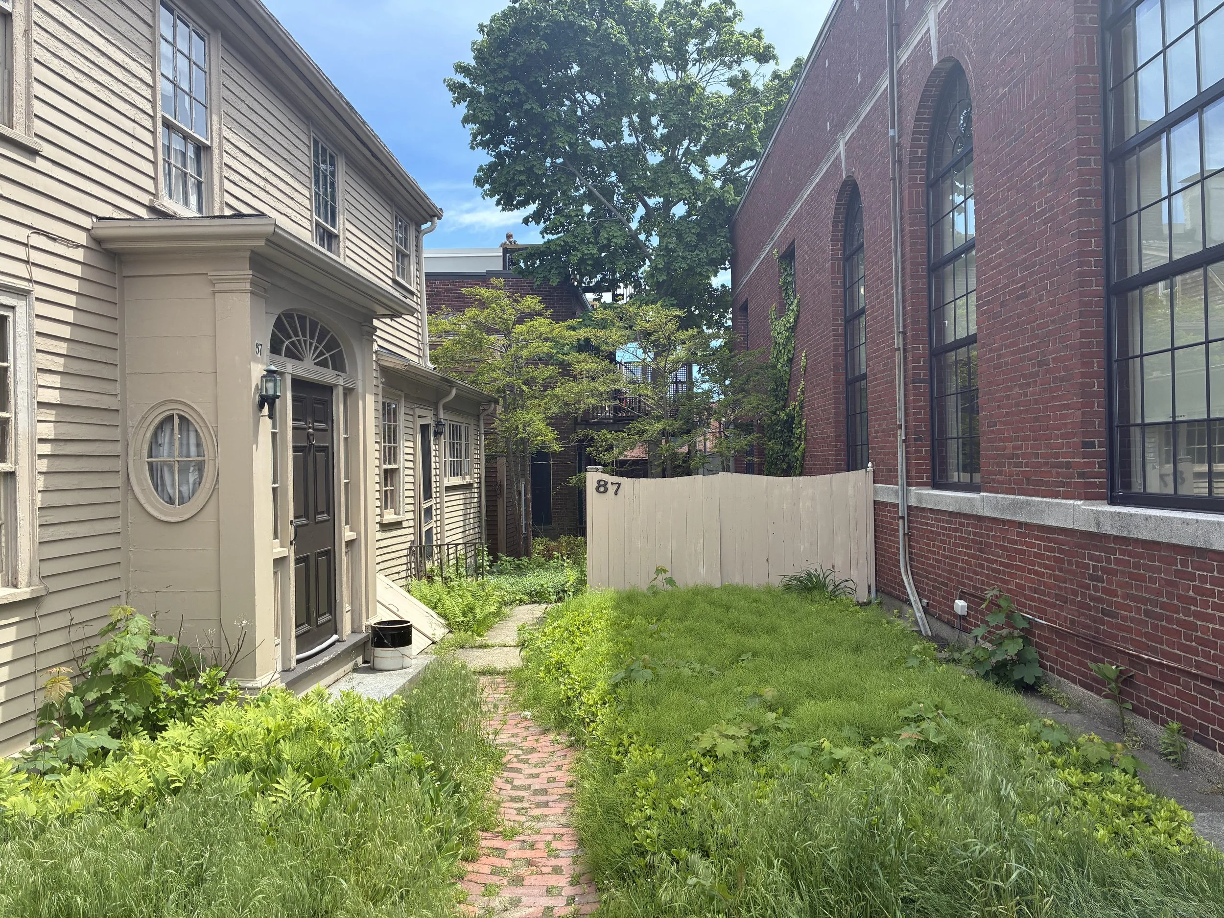 Why Your HOA Should Have a Tree Inventory
