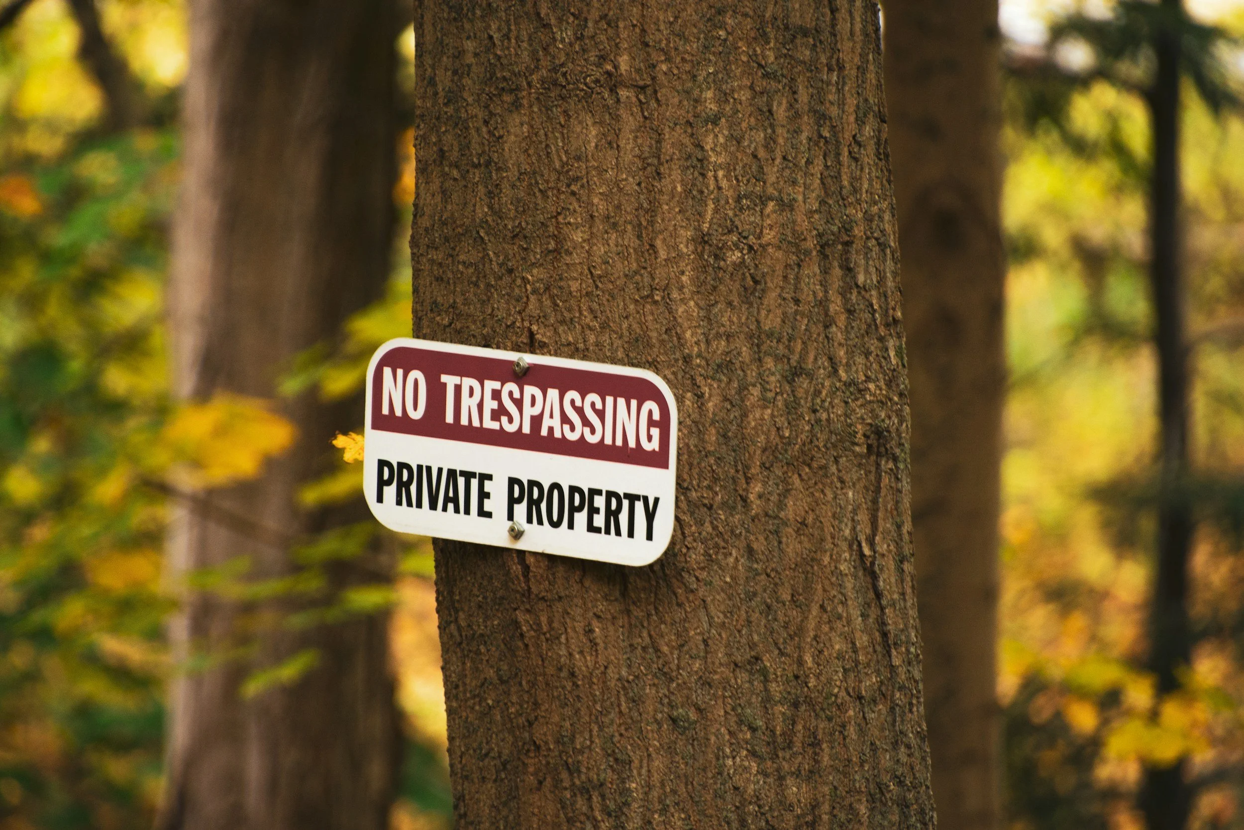 Tree trunk with a 'No Trespassing' sign attached, in a wooded area with fall foliage in the background.