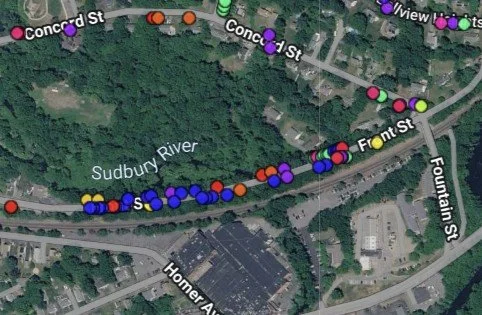 ‍Excelsior Arborists Hits 2,500 Trees Inventoried Since May