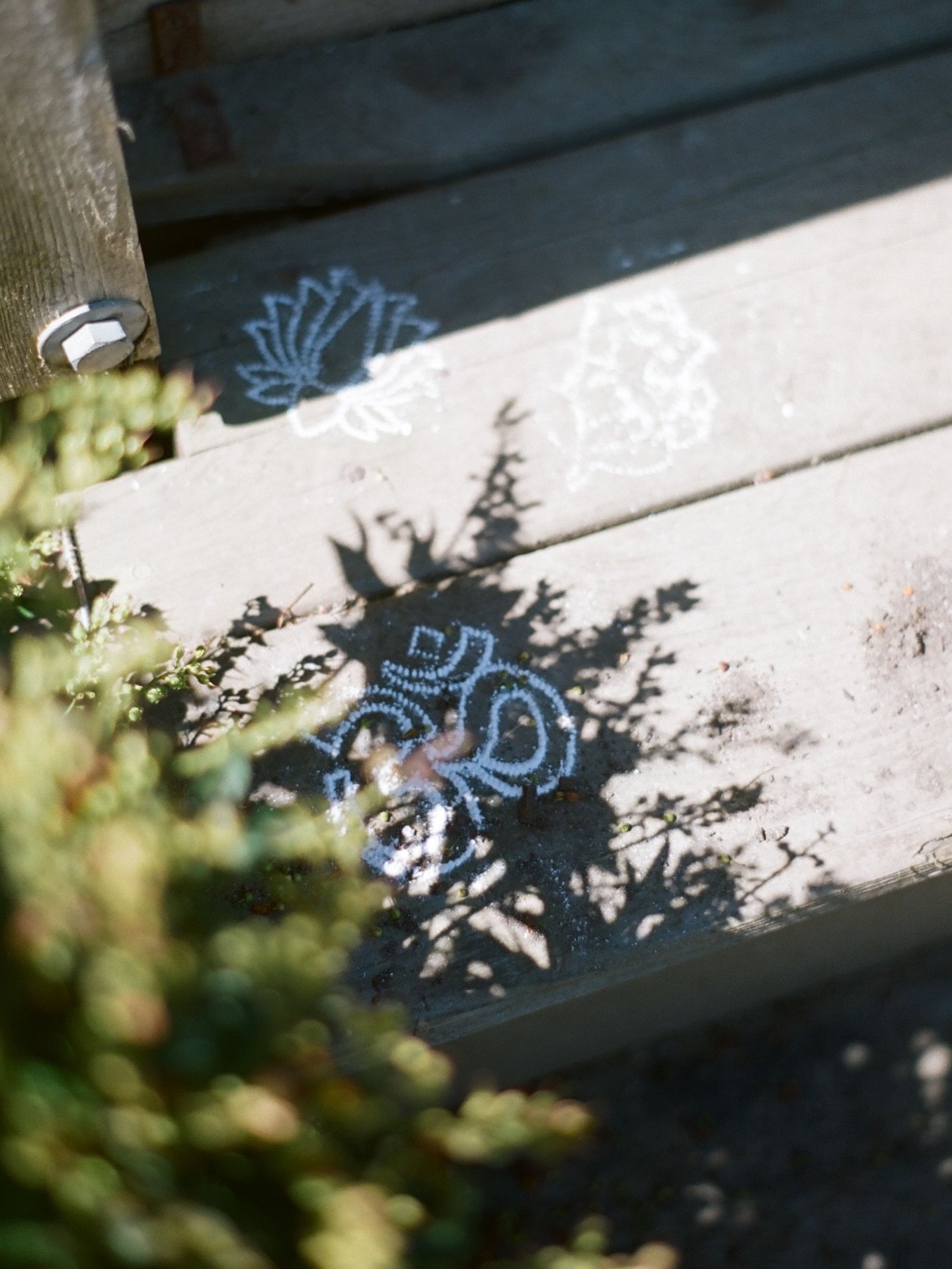 Summer has a way of carrying us in many directions.

As the days fill with sunshine, adventure, and activity, may you remember that your practice isn&rsquo;t something you leave behind when you step out of the studio. The breath, the stillness, the a