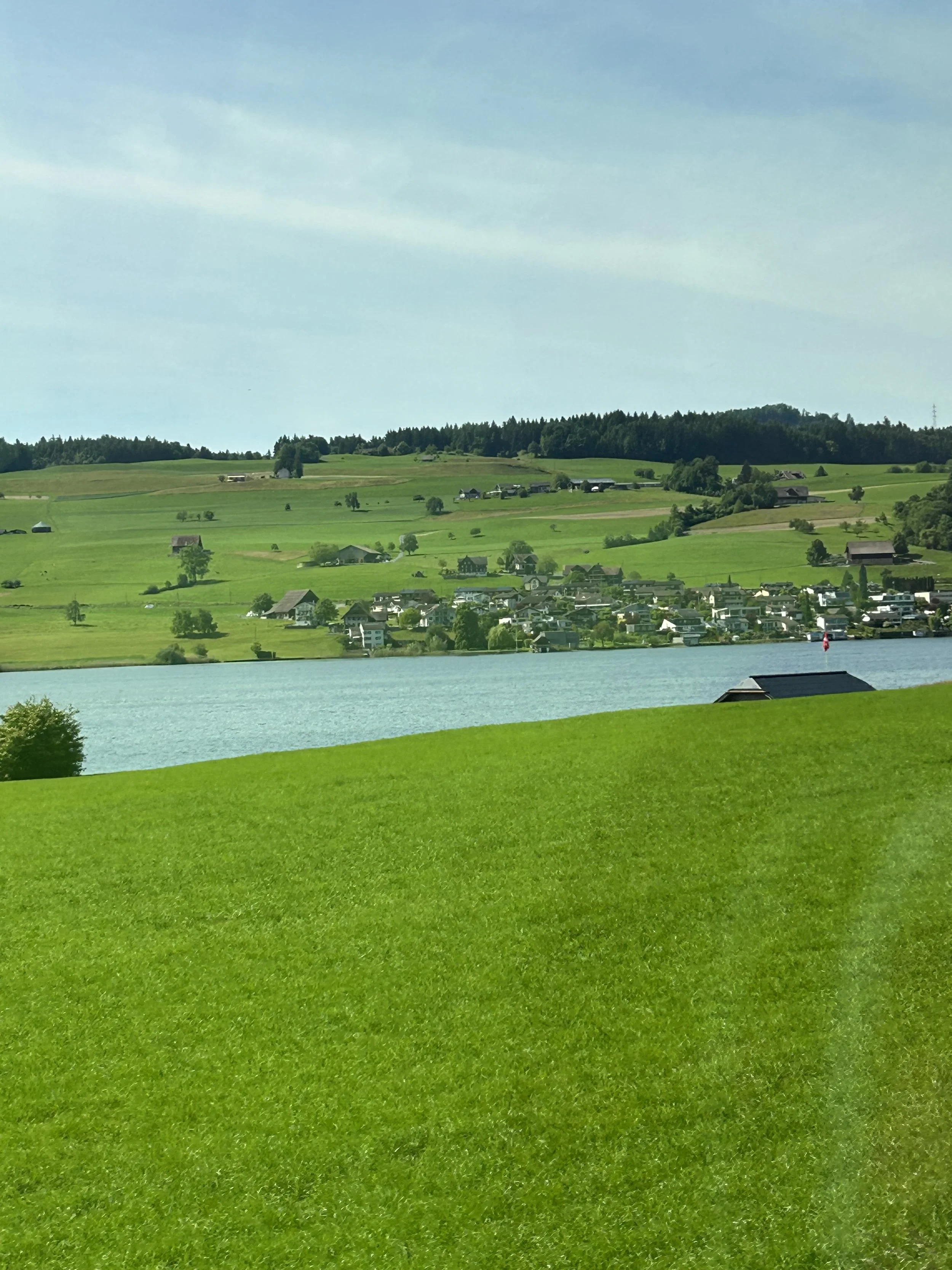 Houses and Hills in Weggis, Switzerland