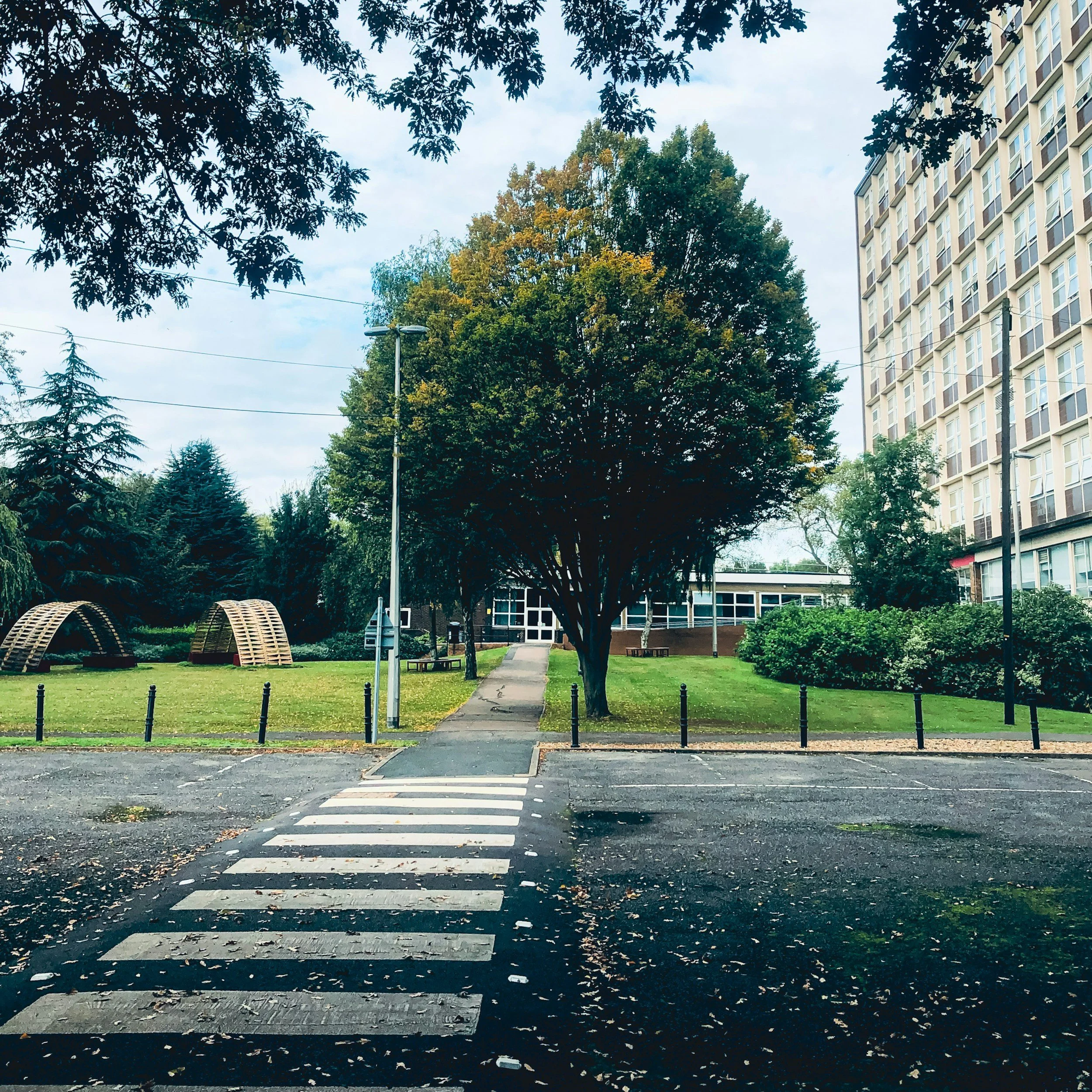 A crosswalk with white stripes on a street, leading into a park with green grass, trees with green and some yellow leaves, and outdoor seating structures in the background, with a tall apartment building and streetlights visible in the distance.