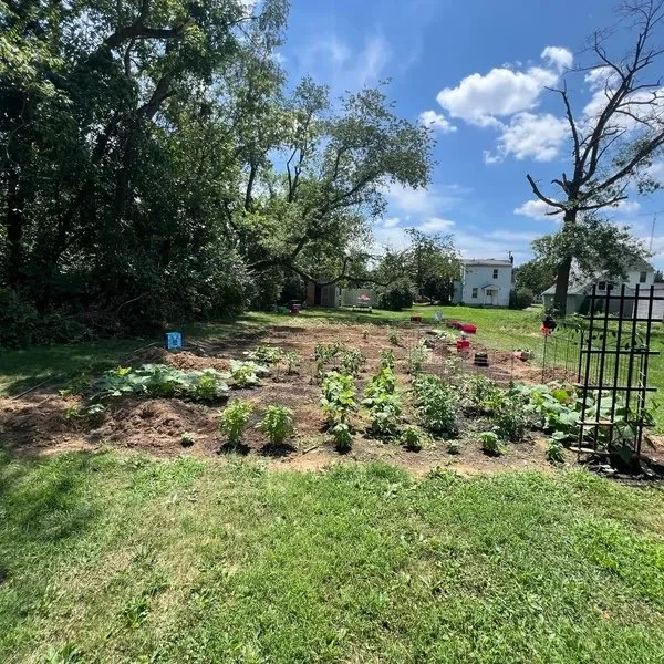 Community garden supporting local food production